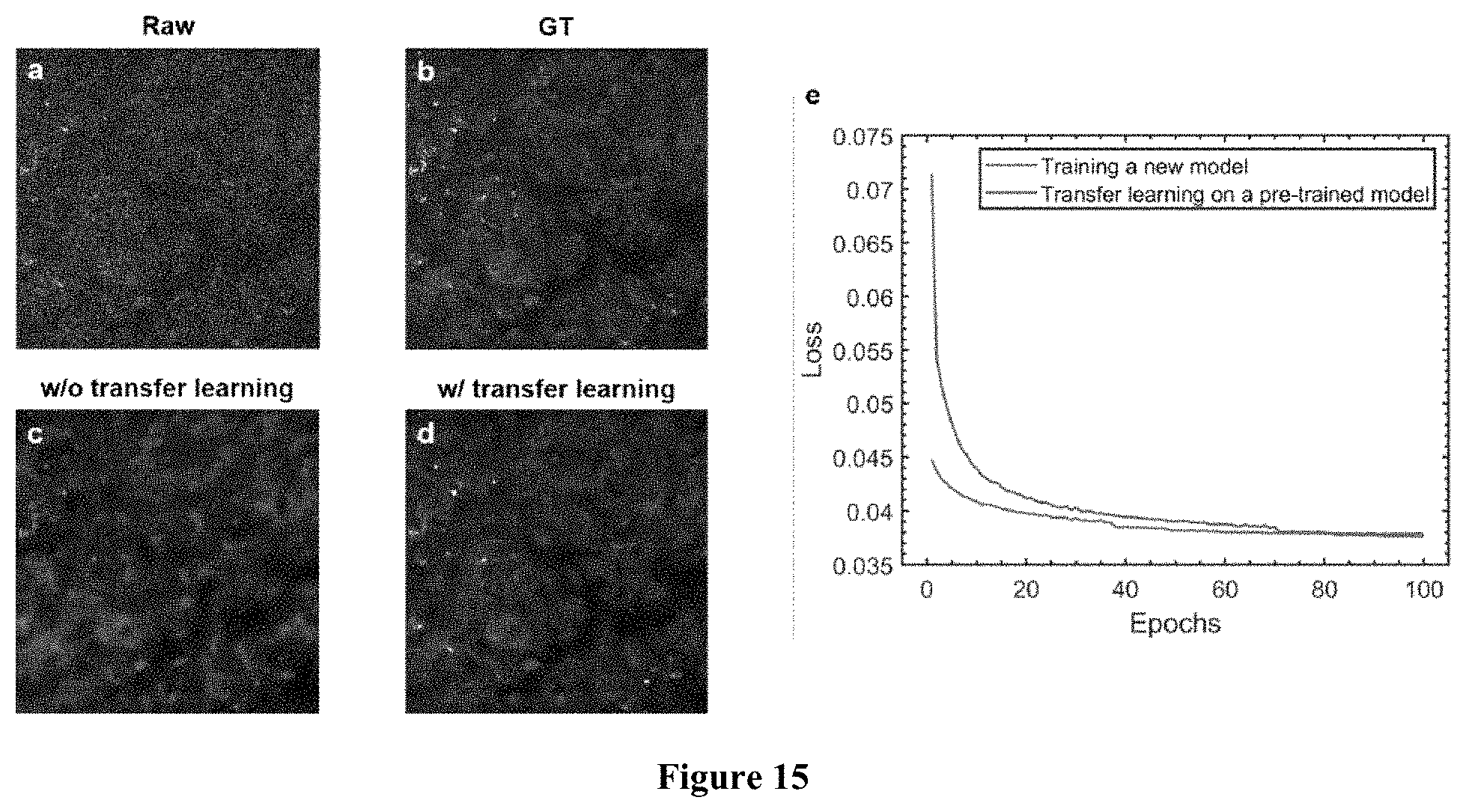 Patent US11774365 Figure 13 – High-speed delay scanning and deep learning techniques for spectroscopic SRS imaging