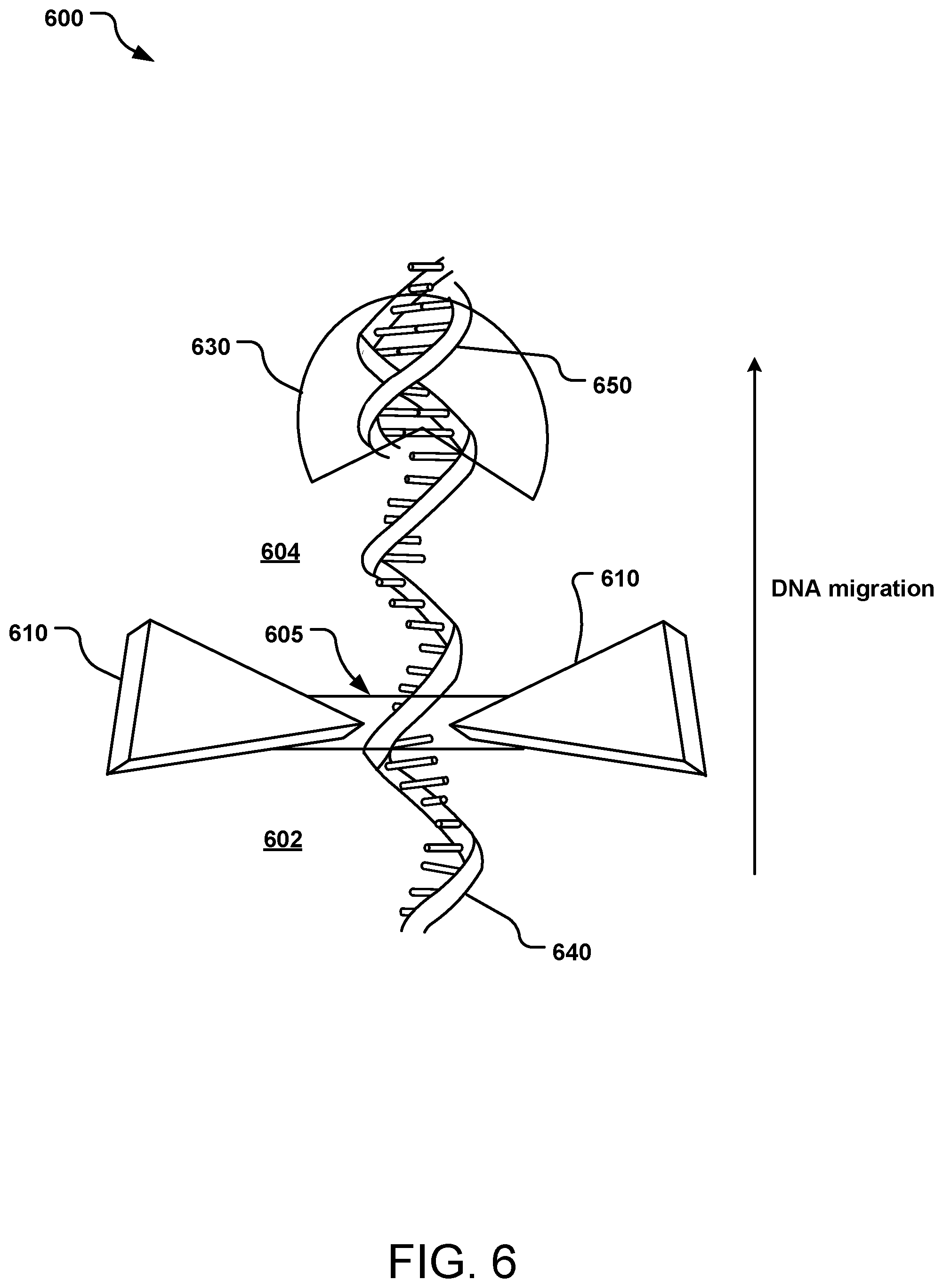 Patent US11774366 Figure 6 – Sequencing nucleic acids via surface enhanced Raman spectroscopy