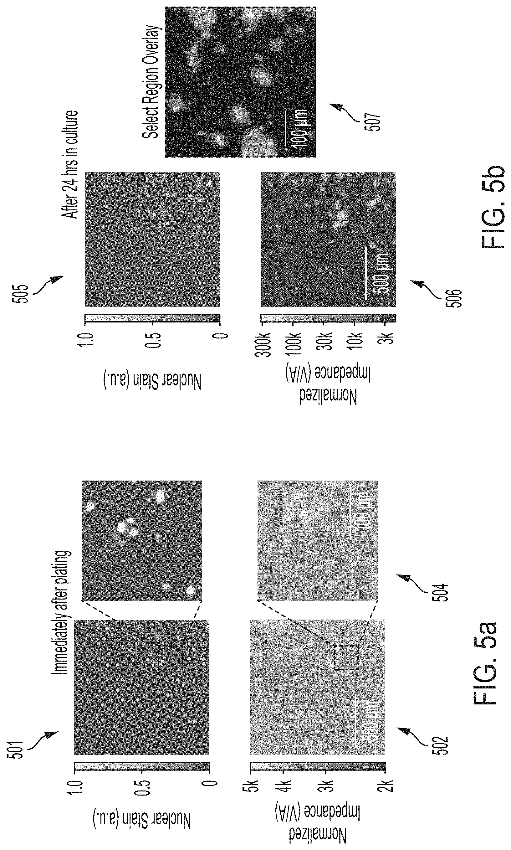 Patent US11774396 Figure 6 – Systems and methods for patterning and spatial electrochemical mapping of cells