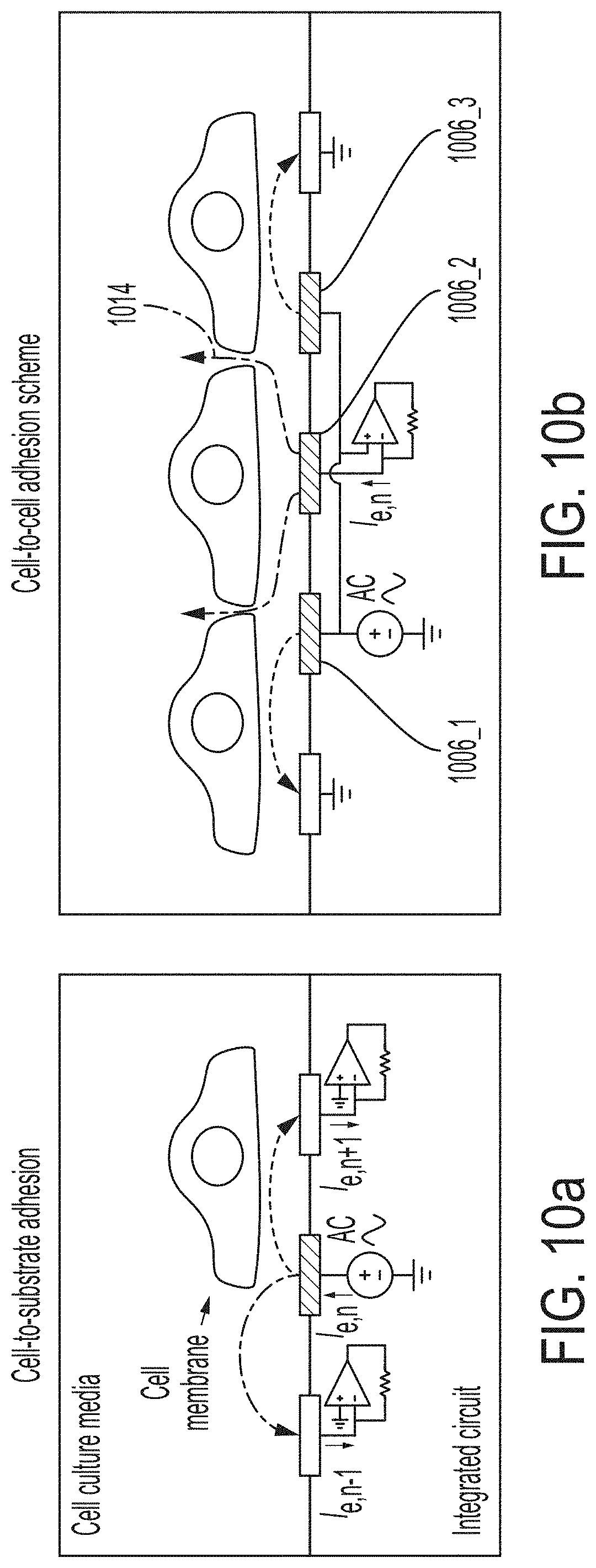 Patent US11774396 Figure 11 – Systems and methods for patterning and spatial electrochemical mapping of cells