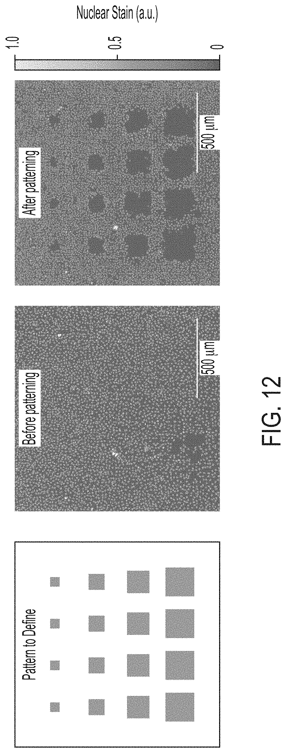 Patent US11774396 Figure 13 – Systems and methods for patterning and spatial electrochemical mapping of cells