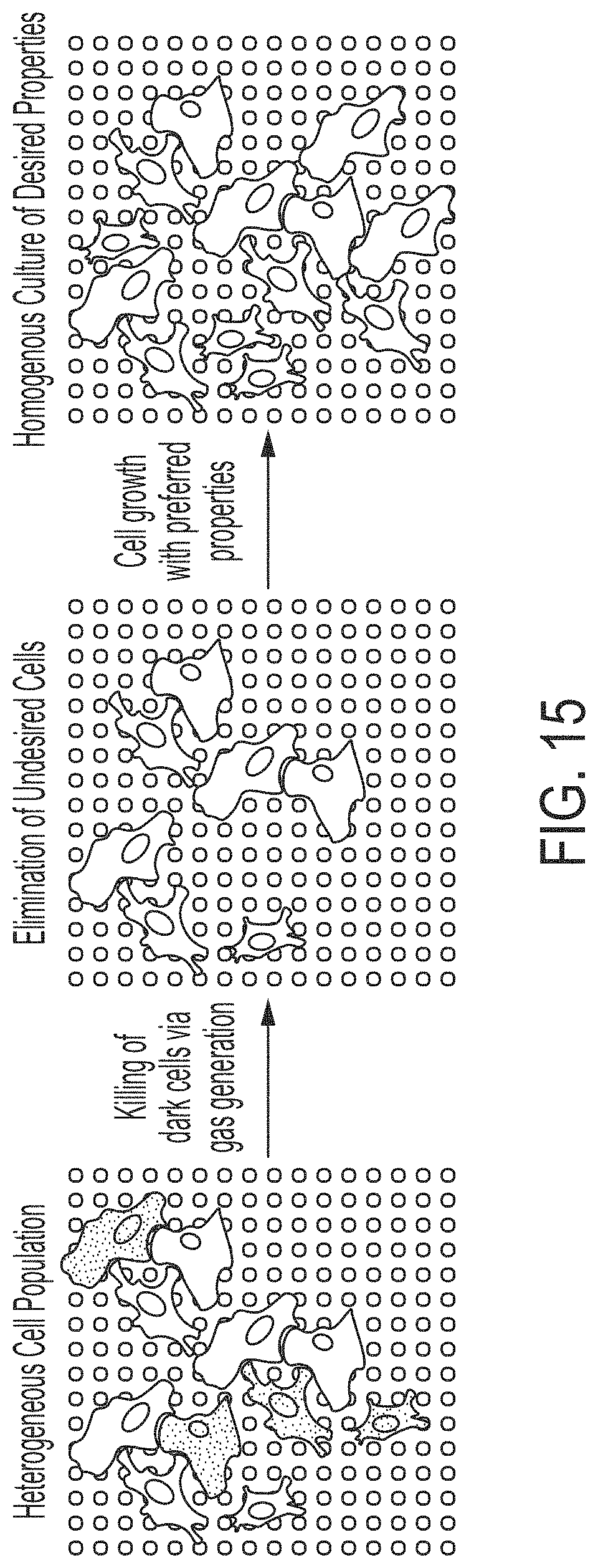Patent US11774396 Figure 16 – Systems and methods for patterning and spatial electrochemical mapping of cells