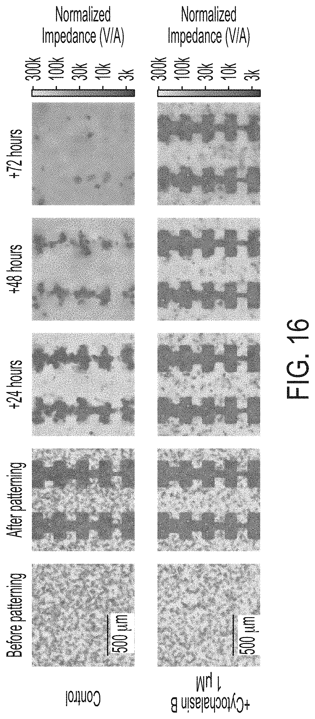 Patent US11774396 Figure 17 – Systems and methods for patterning and spatial electrochemical mapping of cells