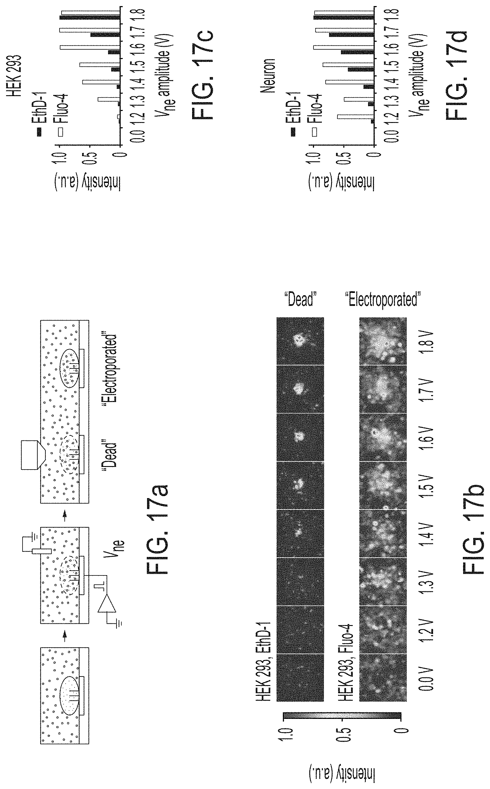 Patent US11774396 Figure 18 – Systems and methods for patterning and spatial electrochemical mapping of cells