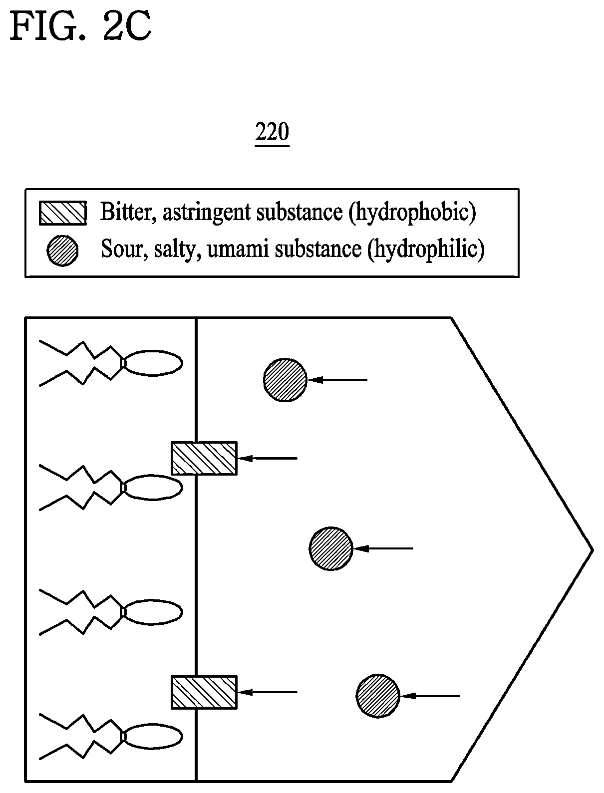 Patent US11774439 Figure 3 – Integrated biochemical sensor and method of manufacturing the same