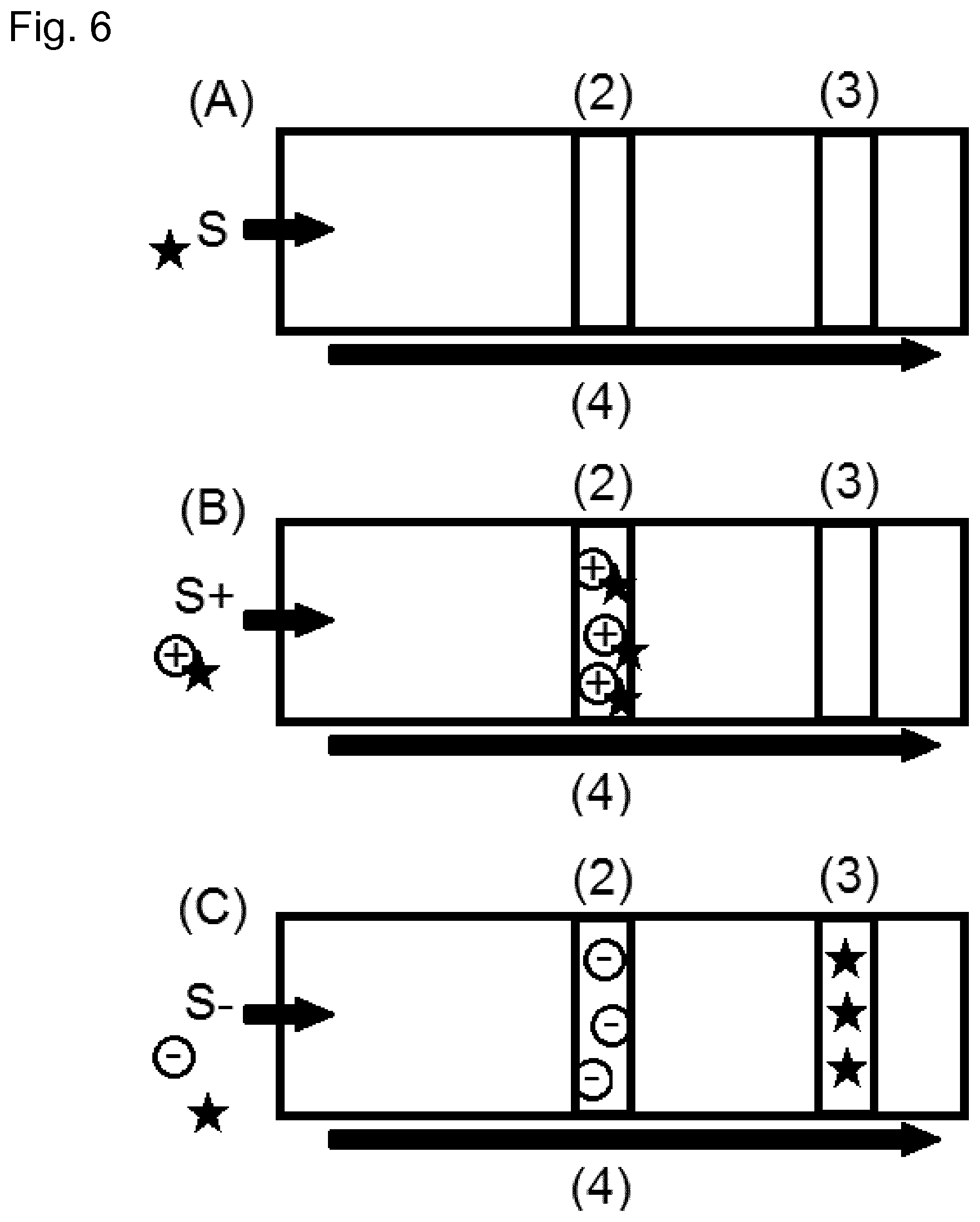 Patent US11774441 Figure 6 – Method for determining the fertility of spermatozoa comprising detection of vimentin variant 3