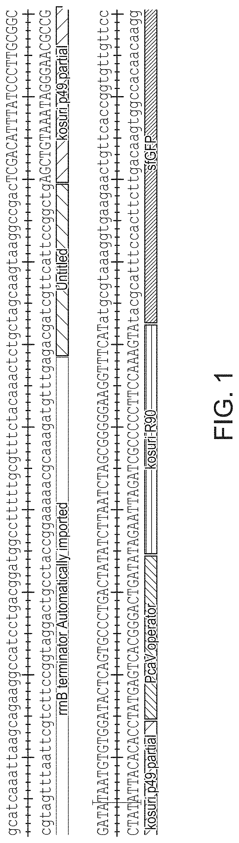 Patent US11774442 — Molecule sensor systems — Figure 1