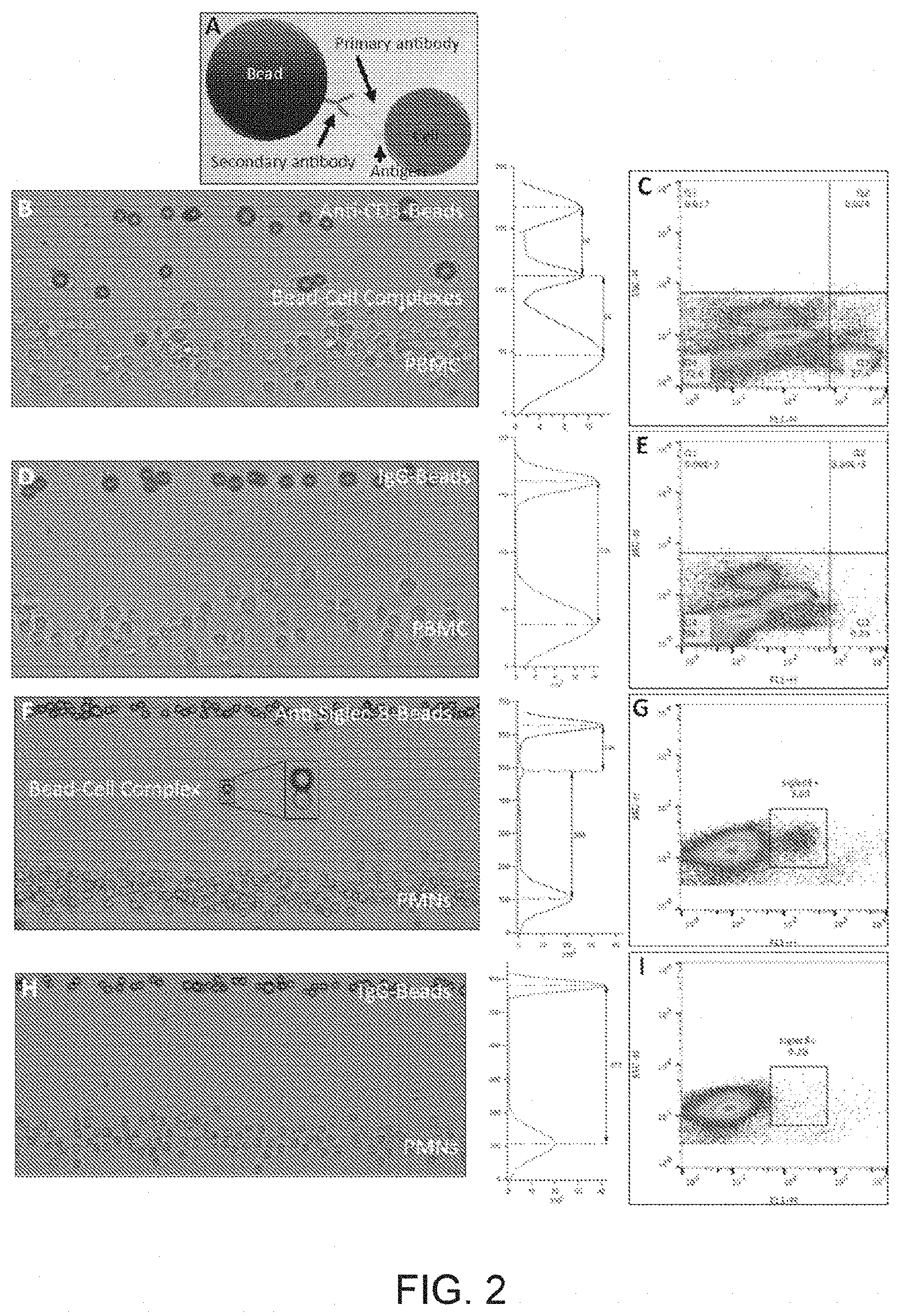 Patent US11774444 Figure 2 – Detection and identification of cell bound and soluble antigens using magnetic levitation