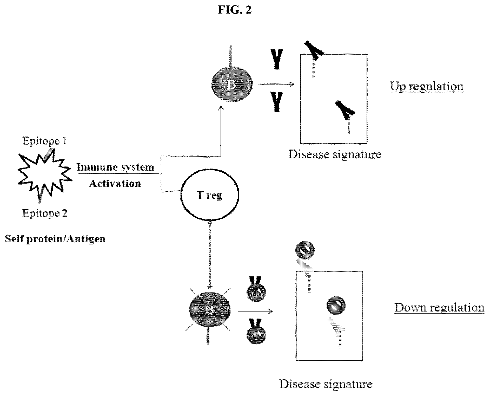 Patent US11774446 Figure 3 – Methods for diagnosis and treatment of autoimmune diseases