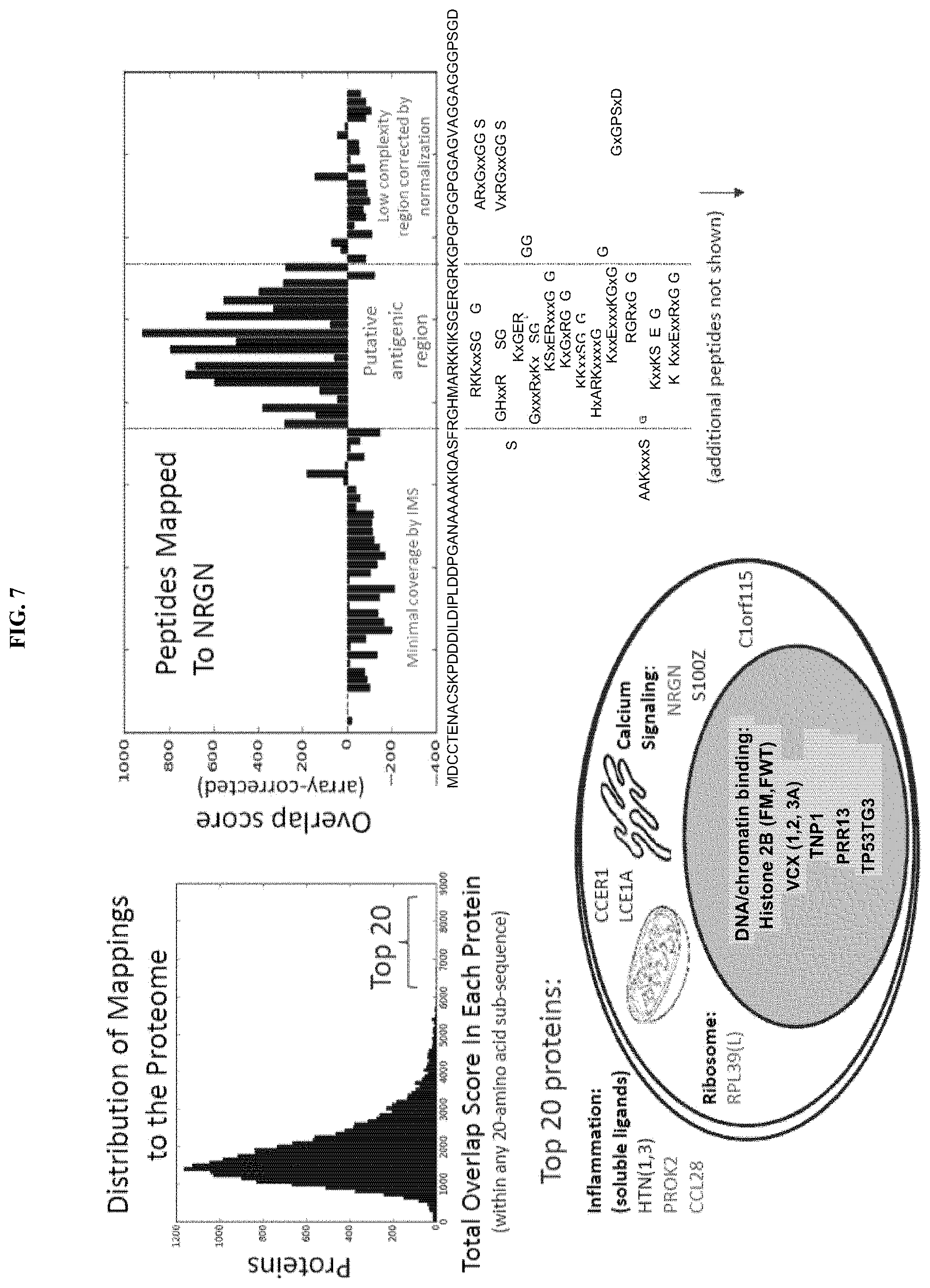 Patent US11774446 Figure 8 – Methods for diagnosis and treatment of autoimmune diseases