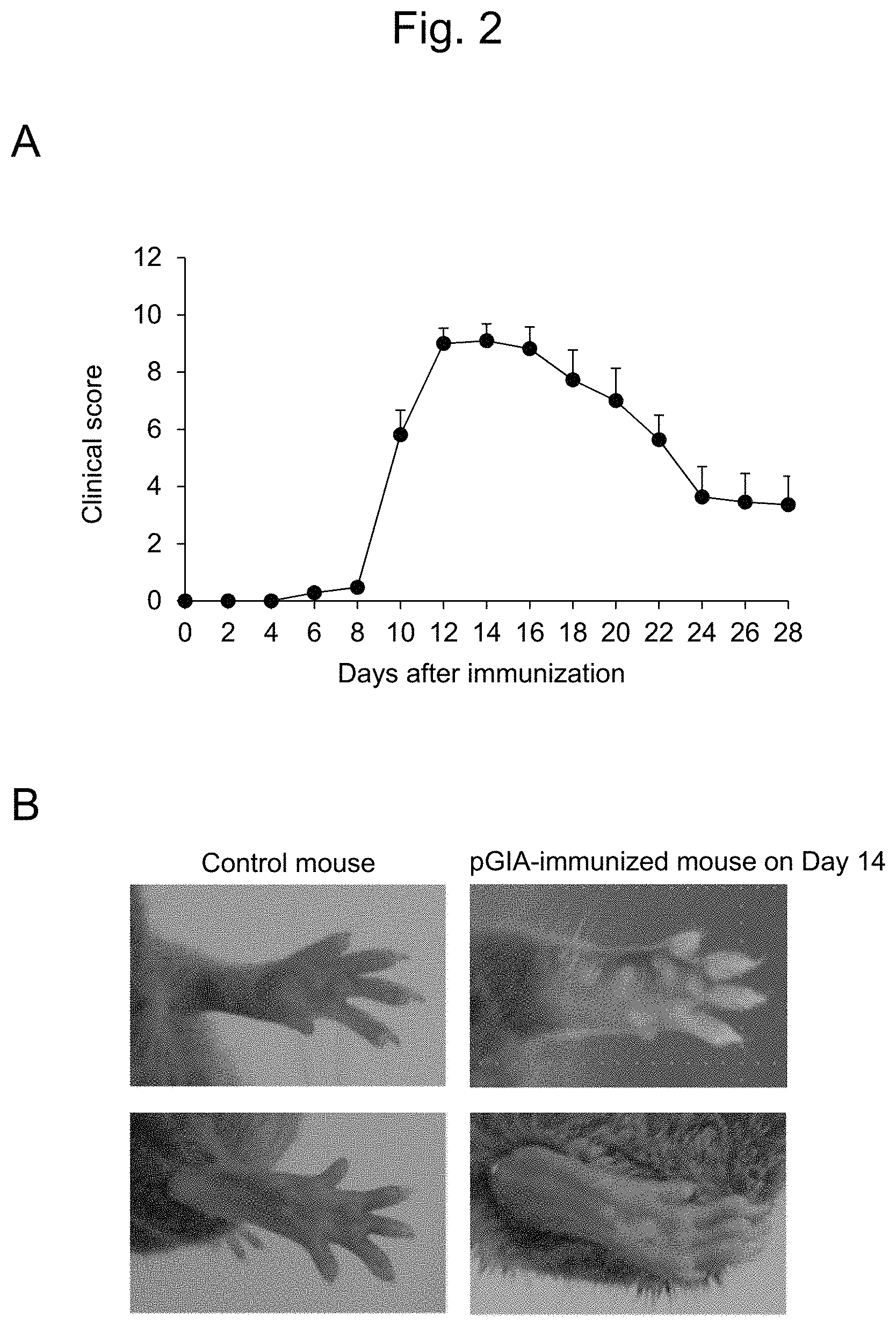 Patent US11774447 Figure 2 – Detection of citrullinated inter-alpha-trypsin inhibitor heavy chain 4 (ITIH4)