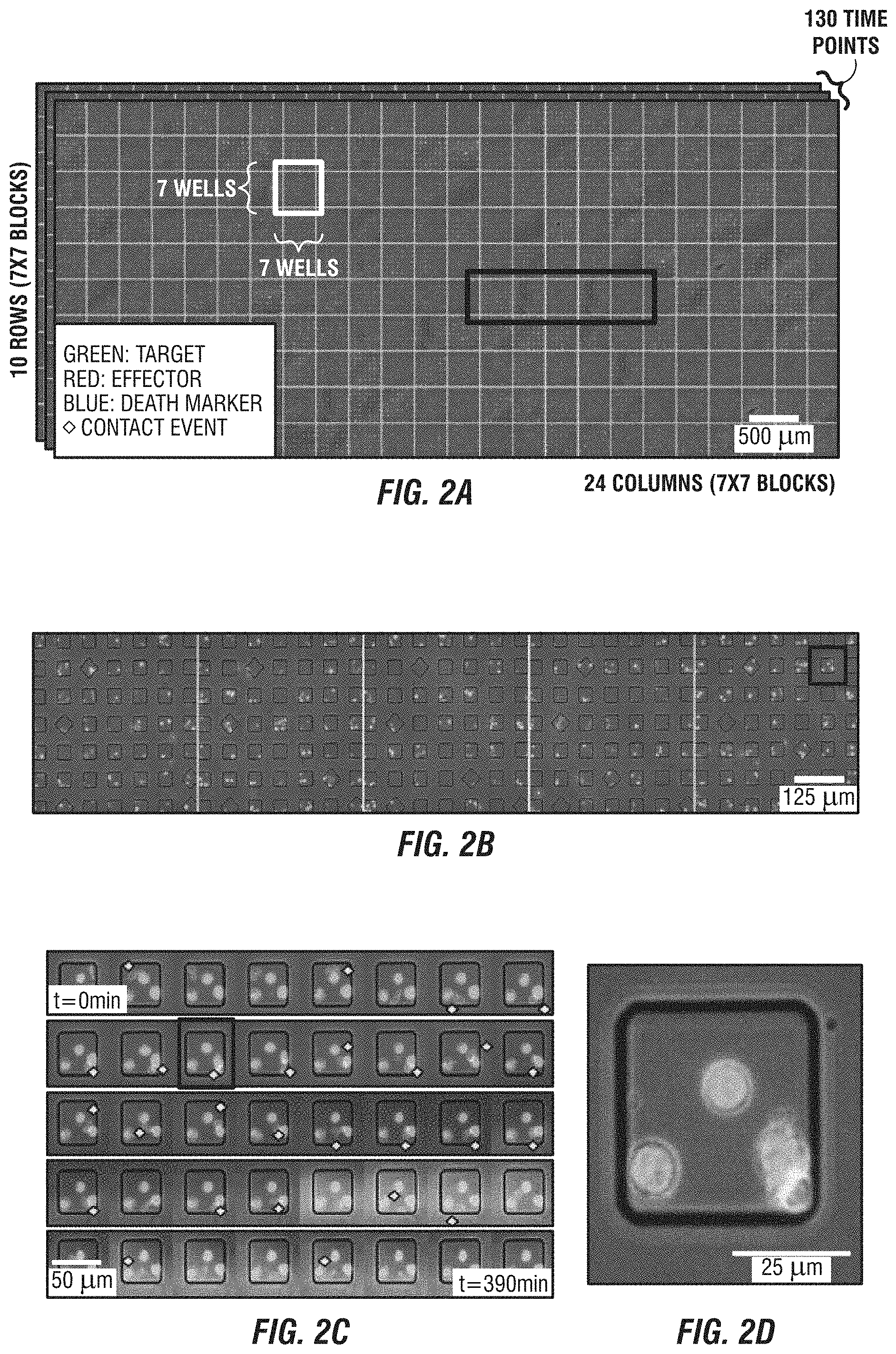 Patent US11774449 Figure 2 – Integrated functional and molecular profiling of cells