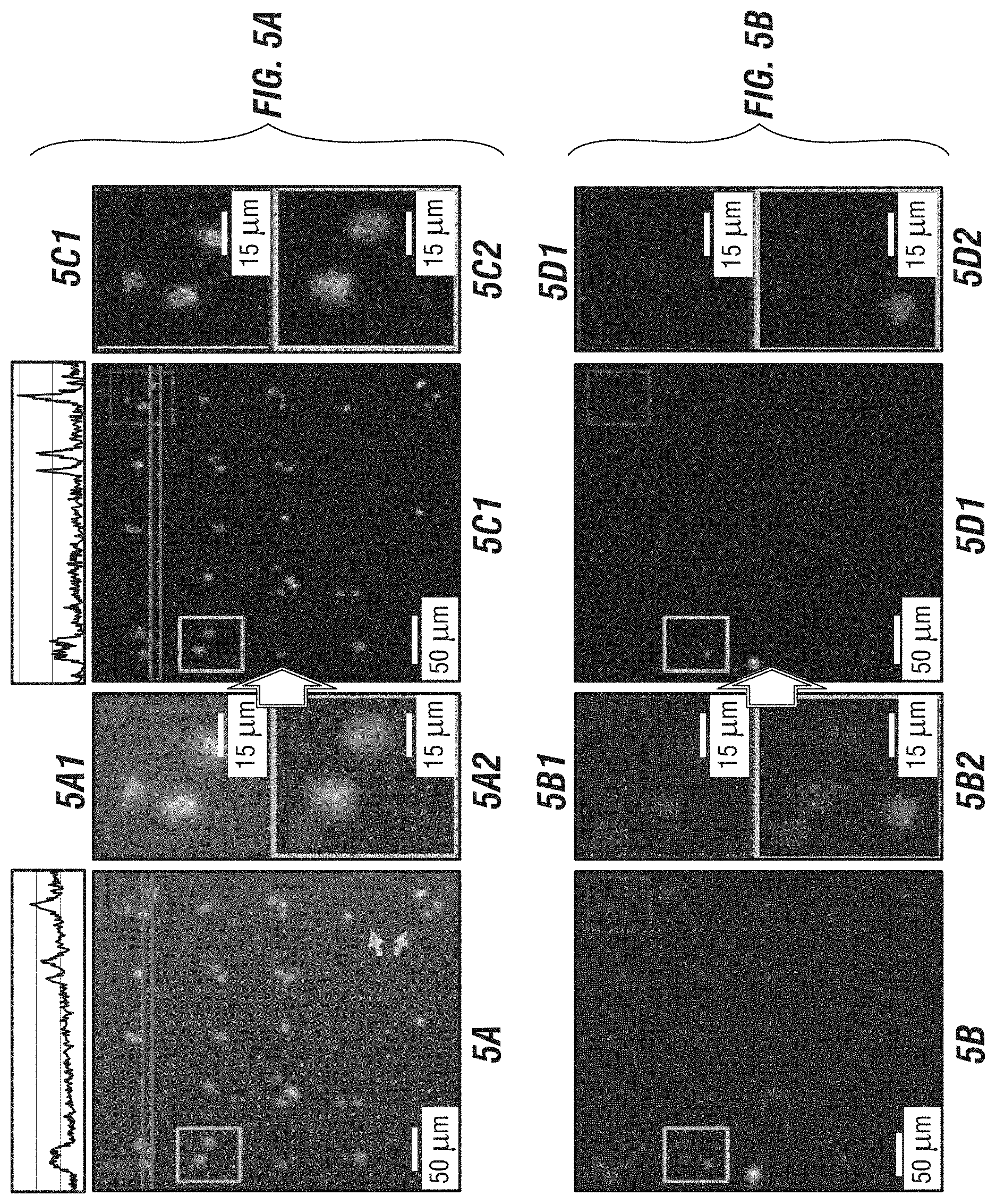 Patent US11774449 Figure 5 – Integrated functional and molecular profiling of cells