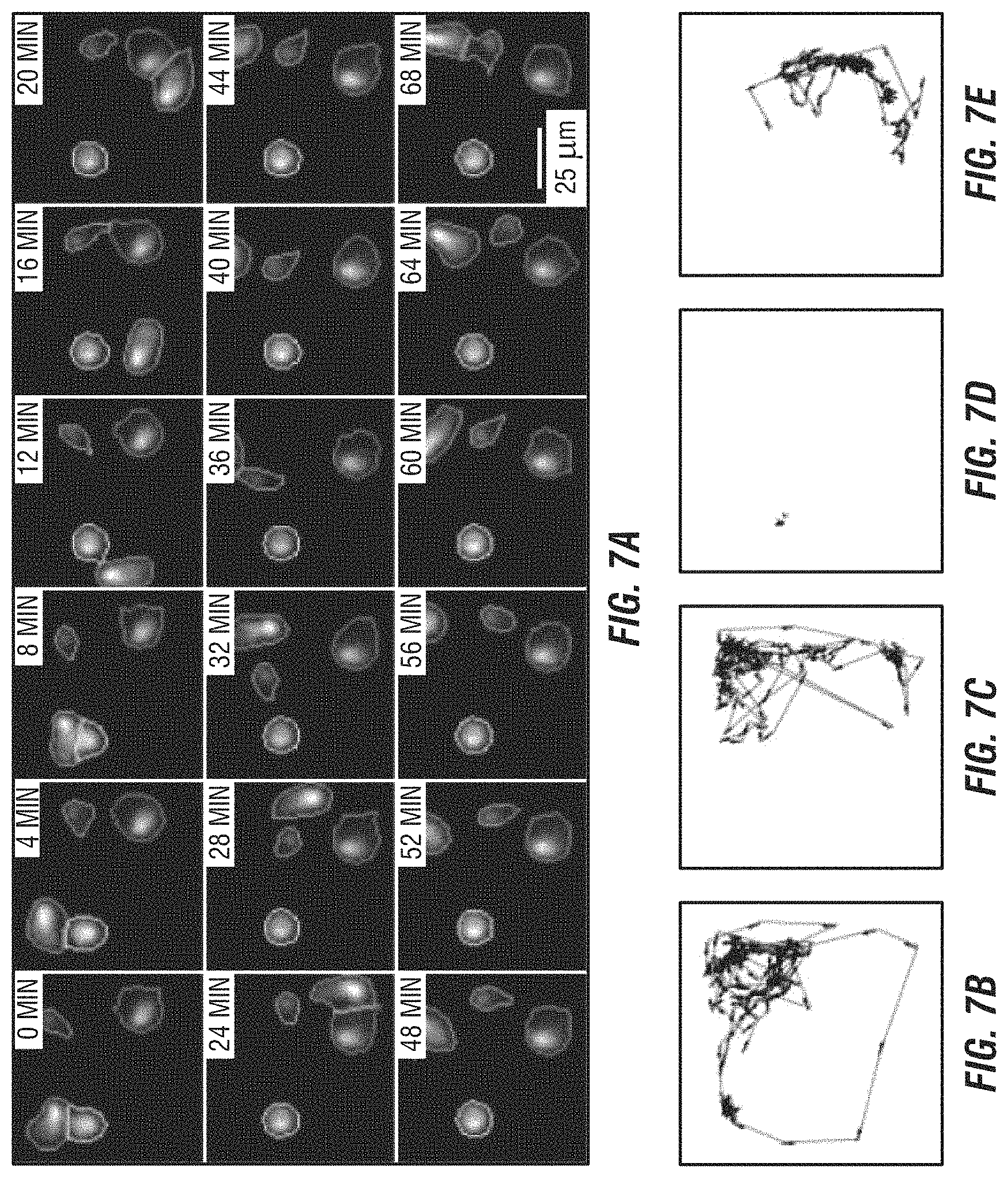 Patent US11774449 Figure 7 – Integrated functional and molecular profiling of cells