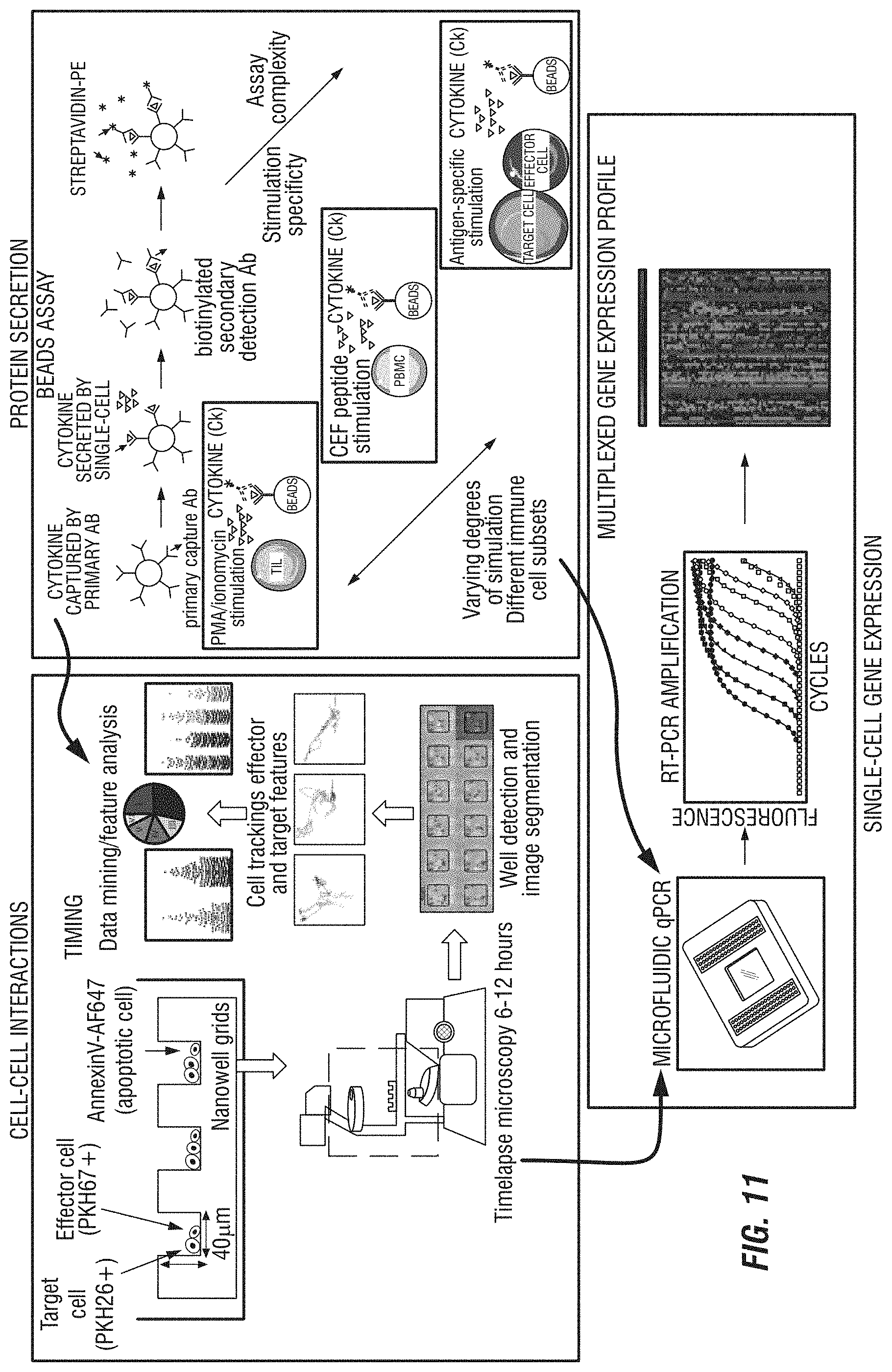 Patent US11774449 Figure 11 – Integrated functional and molecular profiling of cells