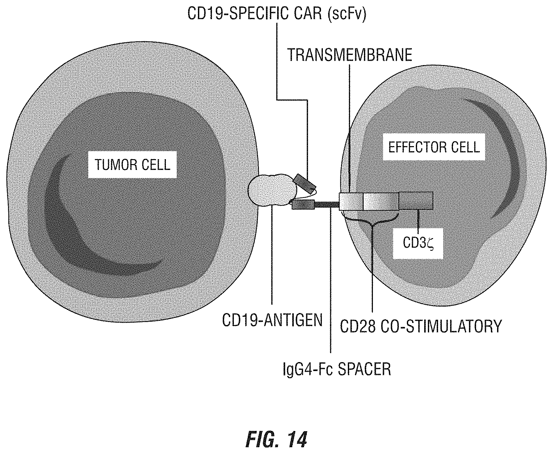 Patent US11774449 Figure 14 – Integrated functional and molecular profiling of cells