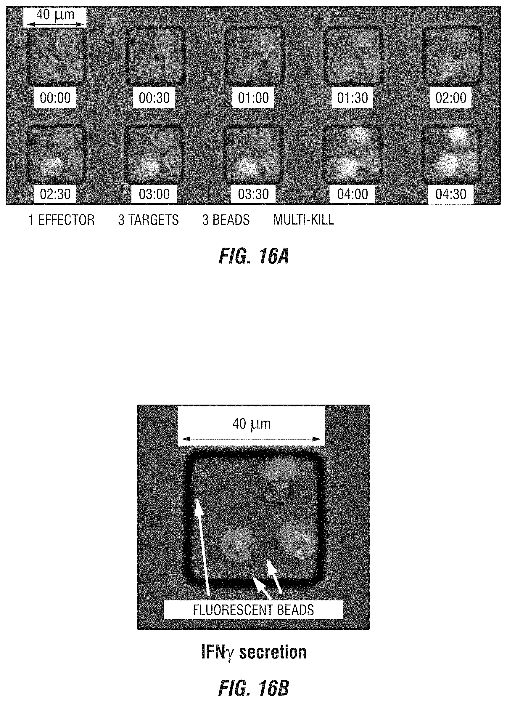 Patent US11774449 Figure 16 – Integrated functional and molecular profiling of cells