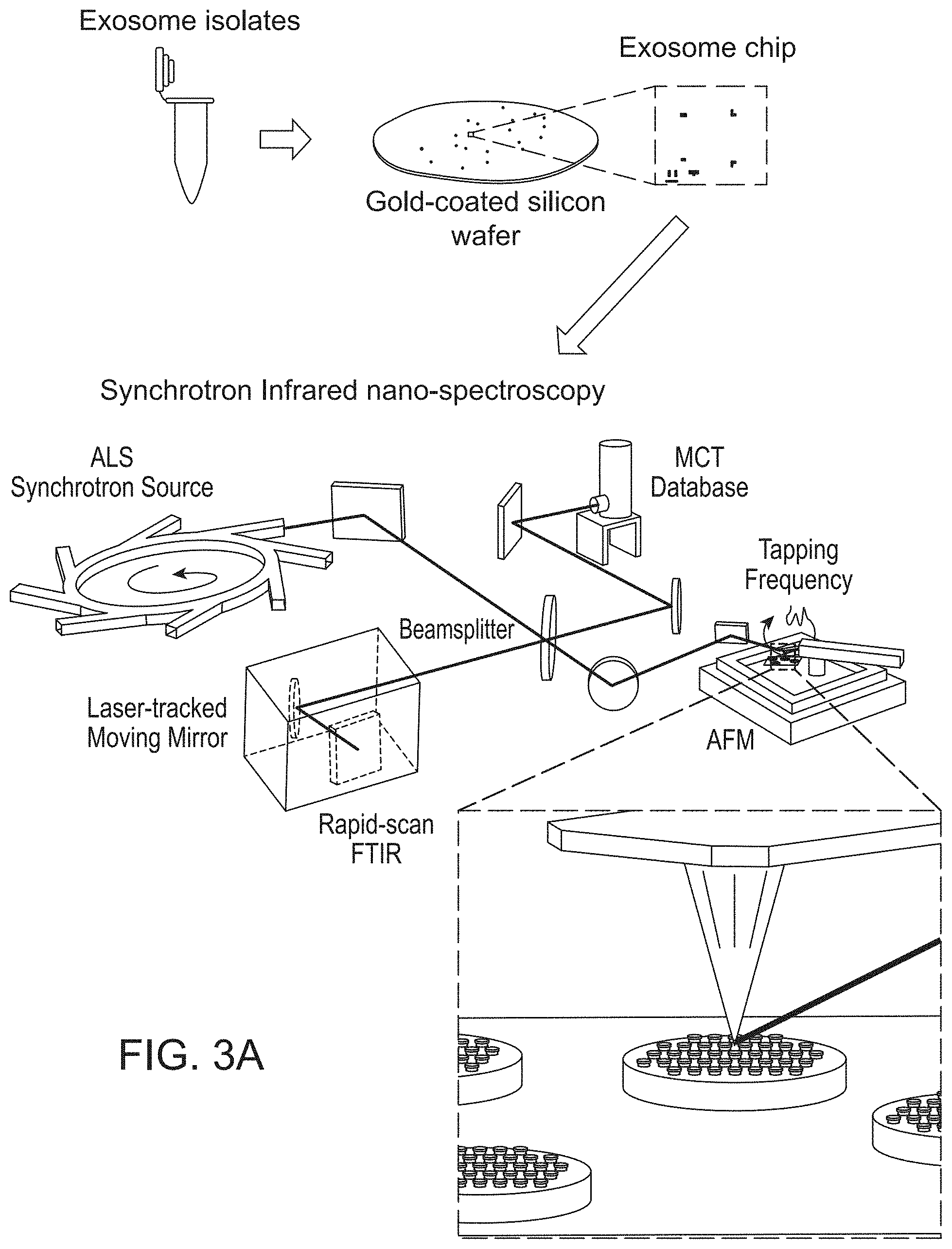Patent US11774451 Figure 2 – Molecular vibrational spectroscopic markers for detection of cancer
