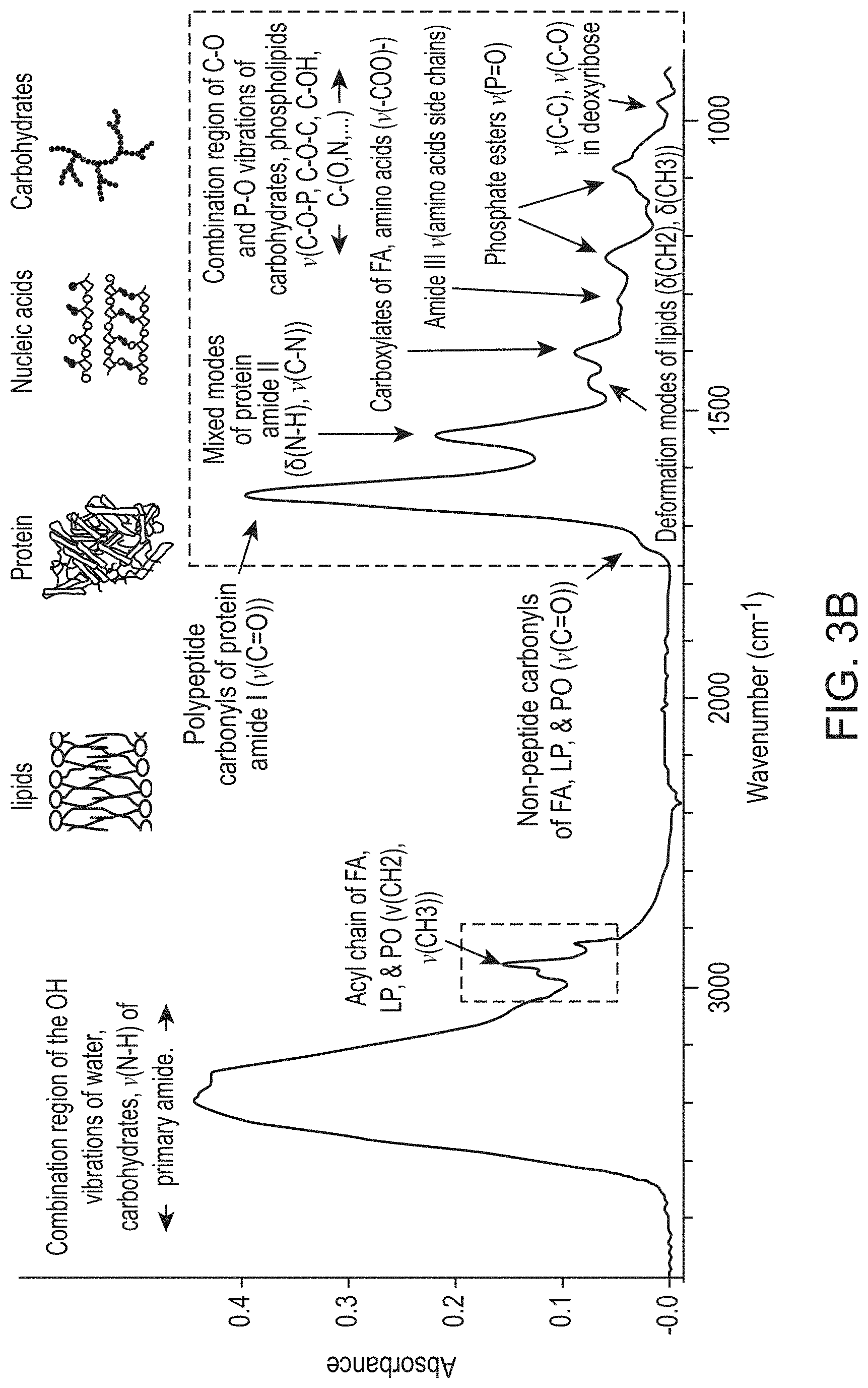 Patent US11774451 Figure 3 – Molecular vibrational spectroscopic markers for detection of cancer