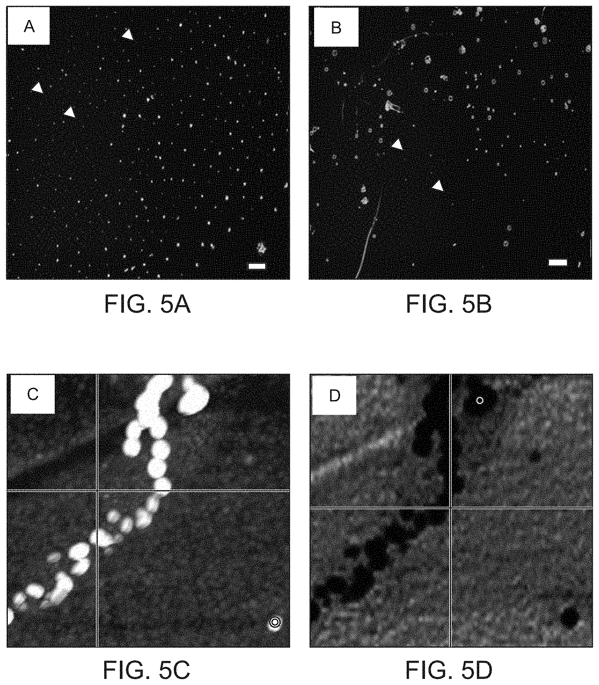 Patent US11774451 Figure 6 – Molecular vibrational spectroscopic markers for detection of cancer