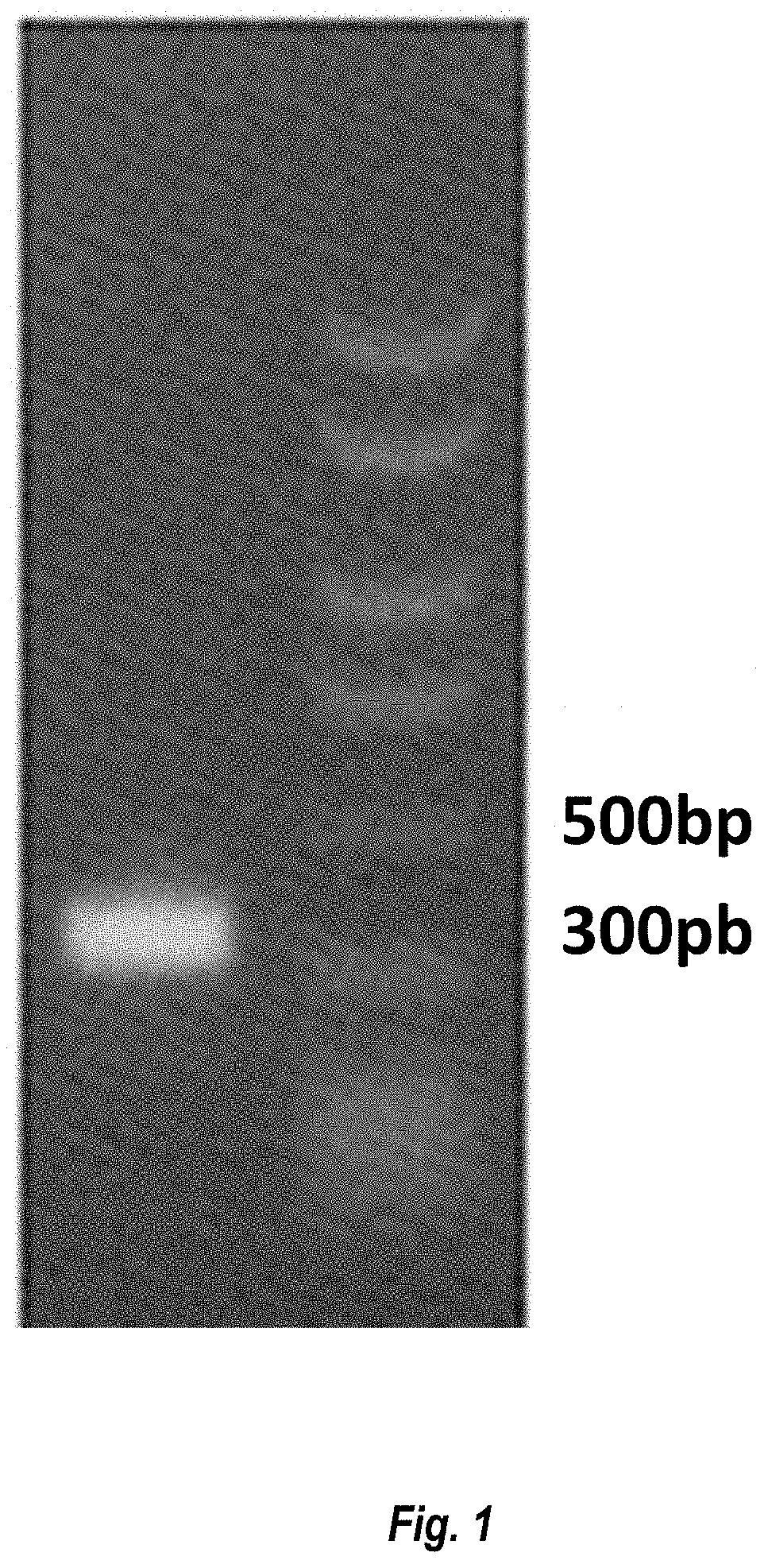 Patent US11774452 Figure 1 – Antibodies against carcinoembryonic antigens