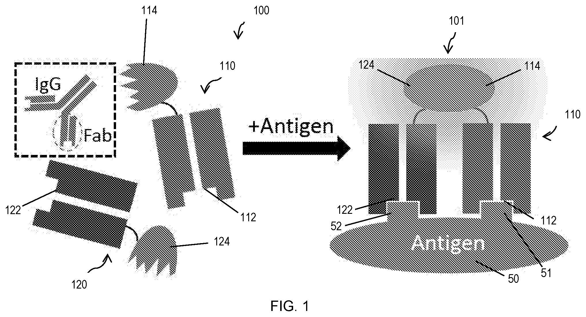 Patent US11774453 Figure 1 – Target-binding activated split reporter systems for analyte detection and related components and methods