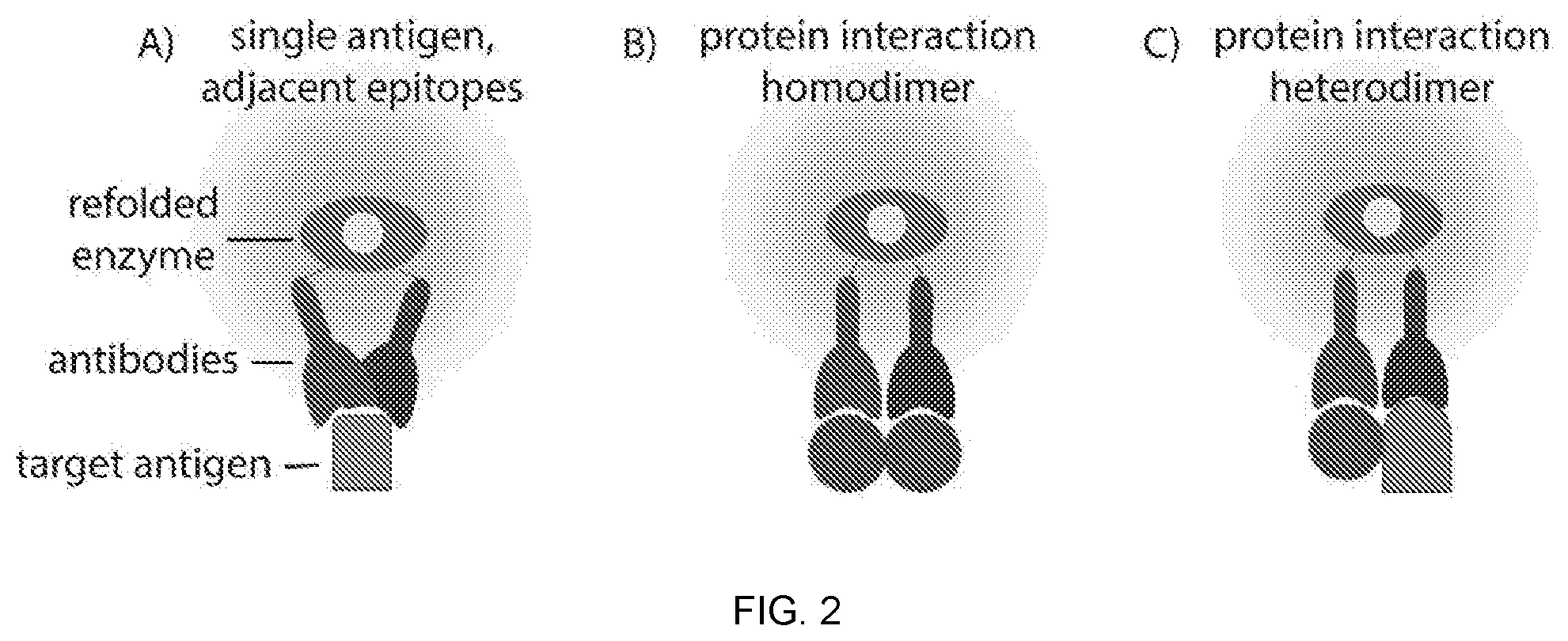 Patent US11774453 Figure 2 – Target-binding activated split reporter systems for analyte detection and related components and methods