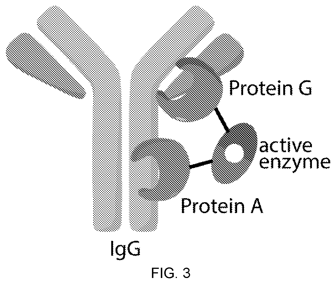 Patent US11774453 Figure 3 – Target-binding activated split reporter systems for analyte detection and related components and methods