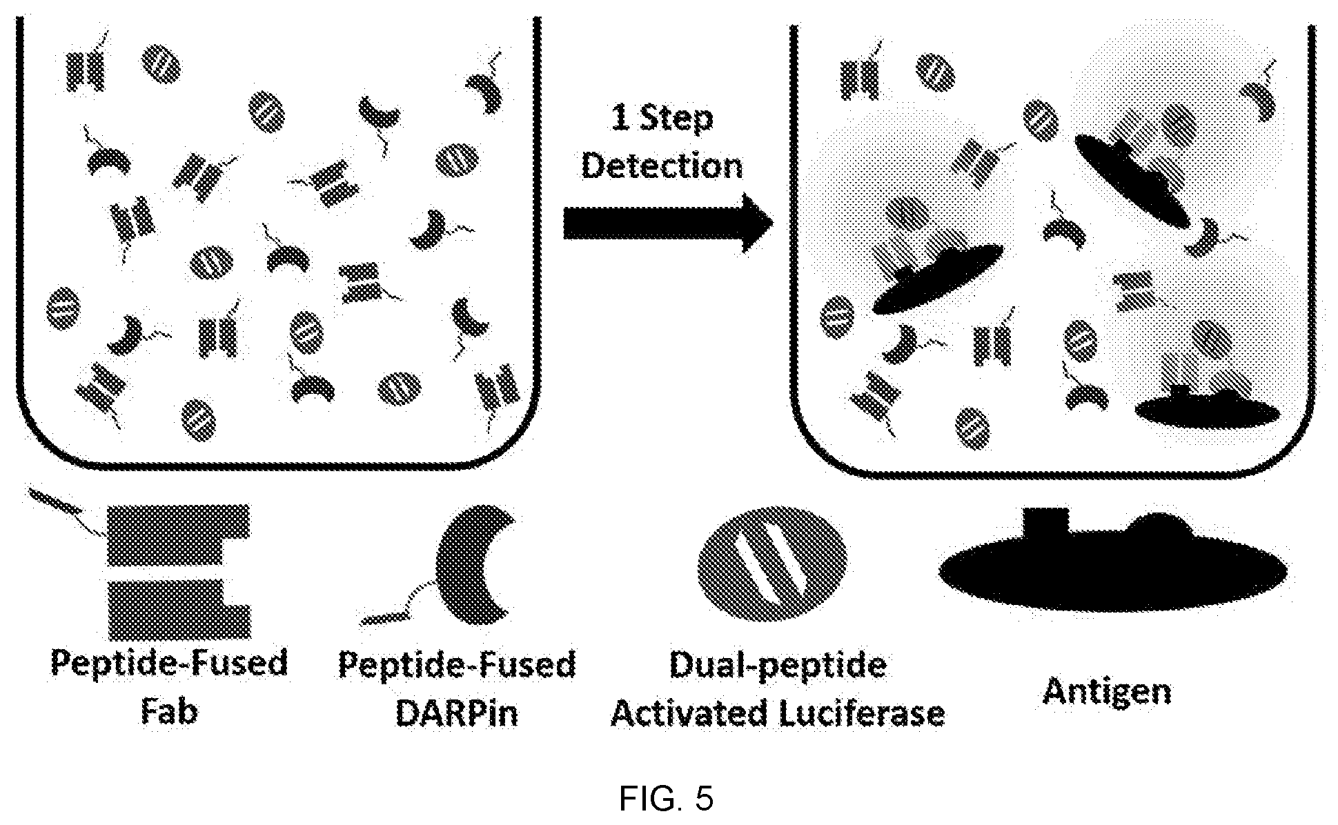 Patent US11774453 Figure 5 – Target-binding activated split reporter systems for analyte detection and related components and methods
