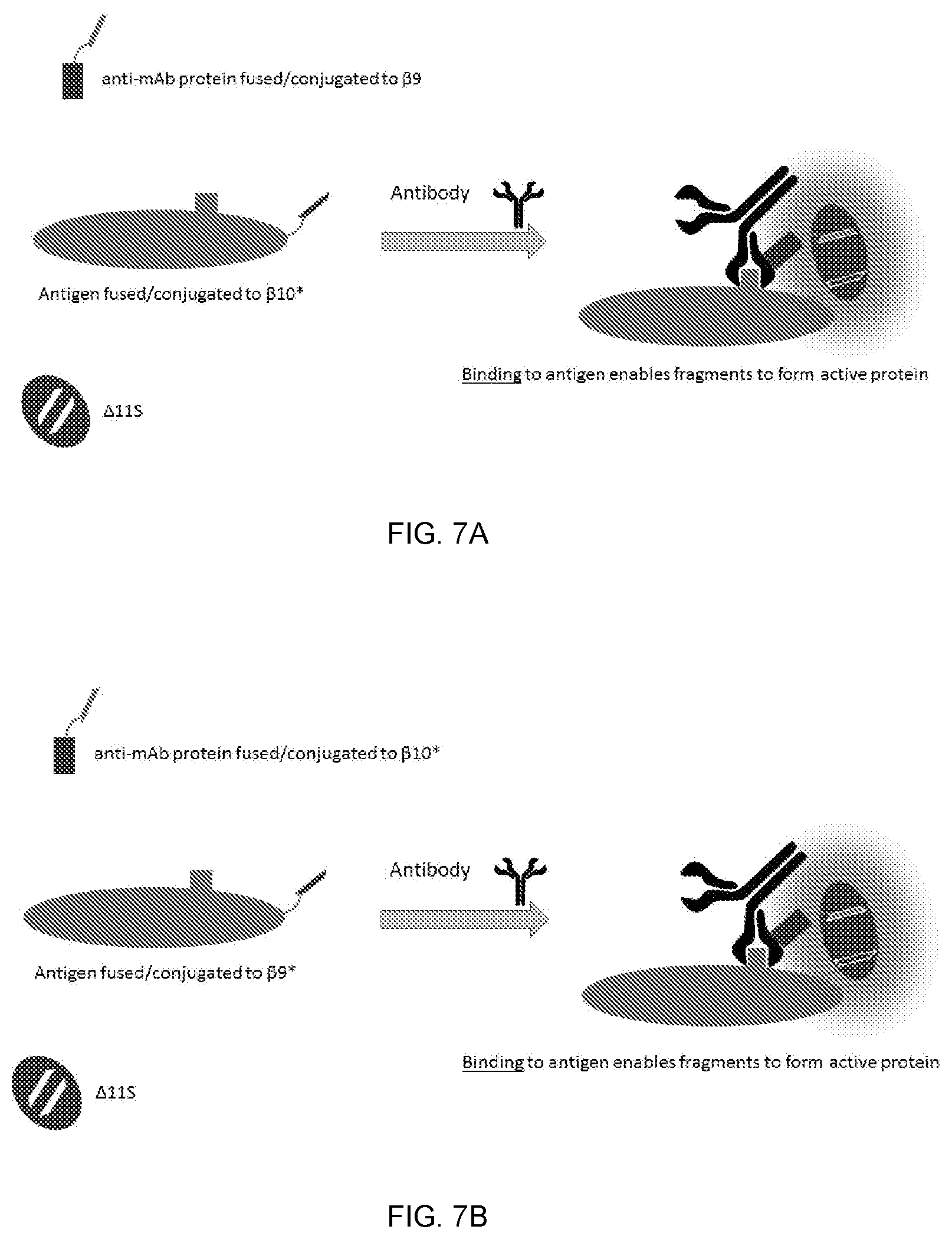 Patent US11774453 Figure 7 – Target-binding activated split reporter systems for analyte detection and related components and methods