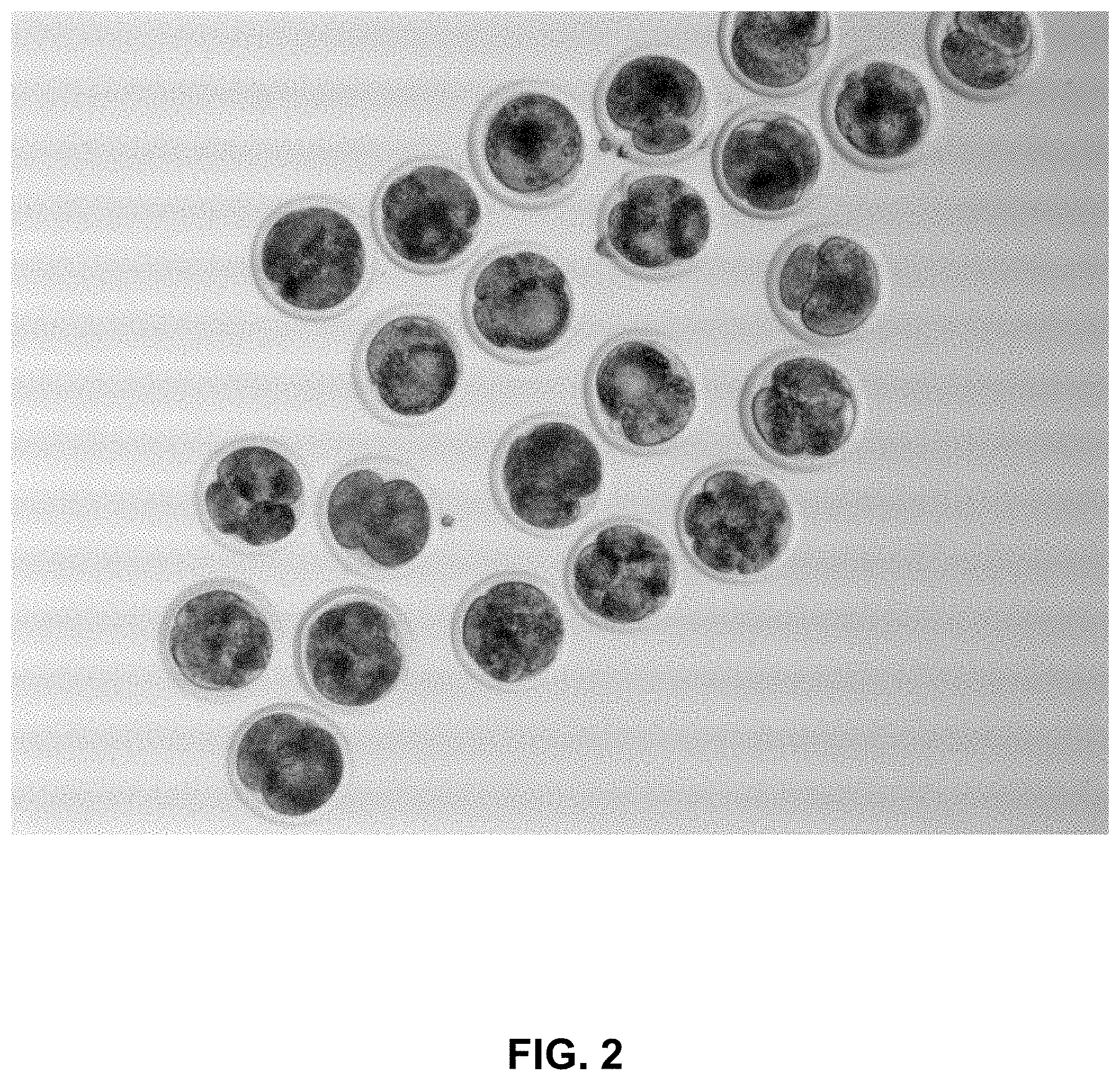 Patent US11774454 Figure 2 – Non-invasive analysis of embryo metabolites