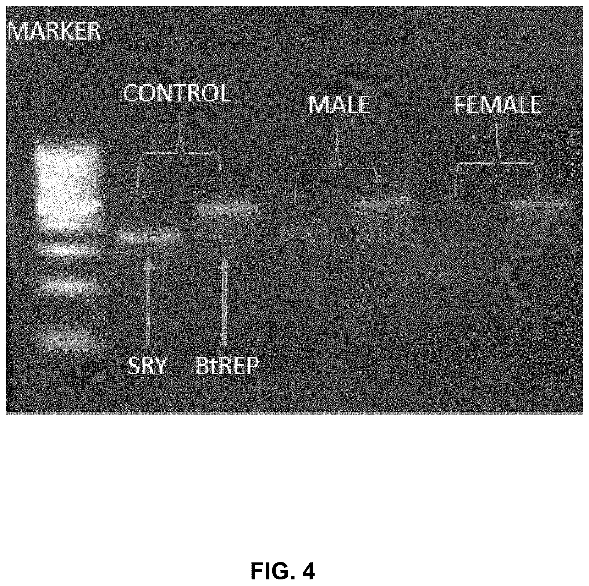 Patent US11774454 Figure 4 – Non-invasive analysis of embryo metabolites