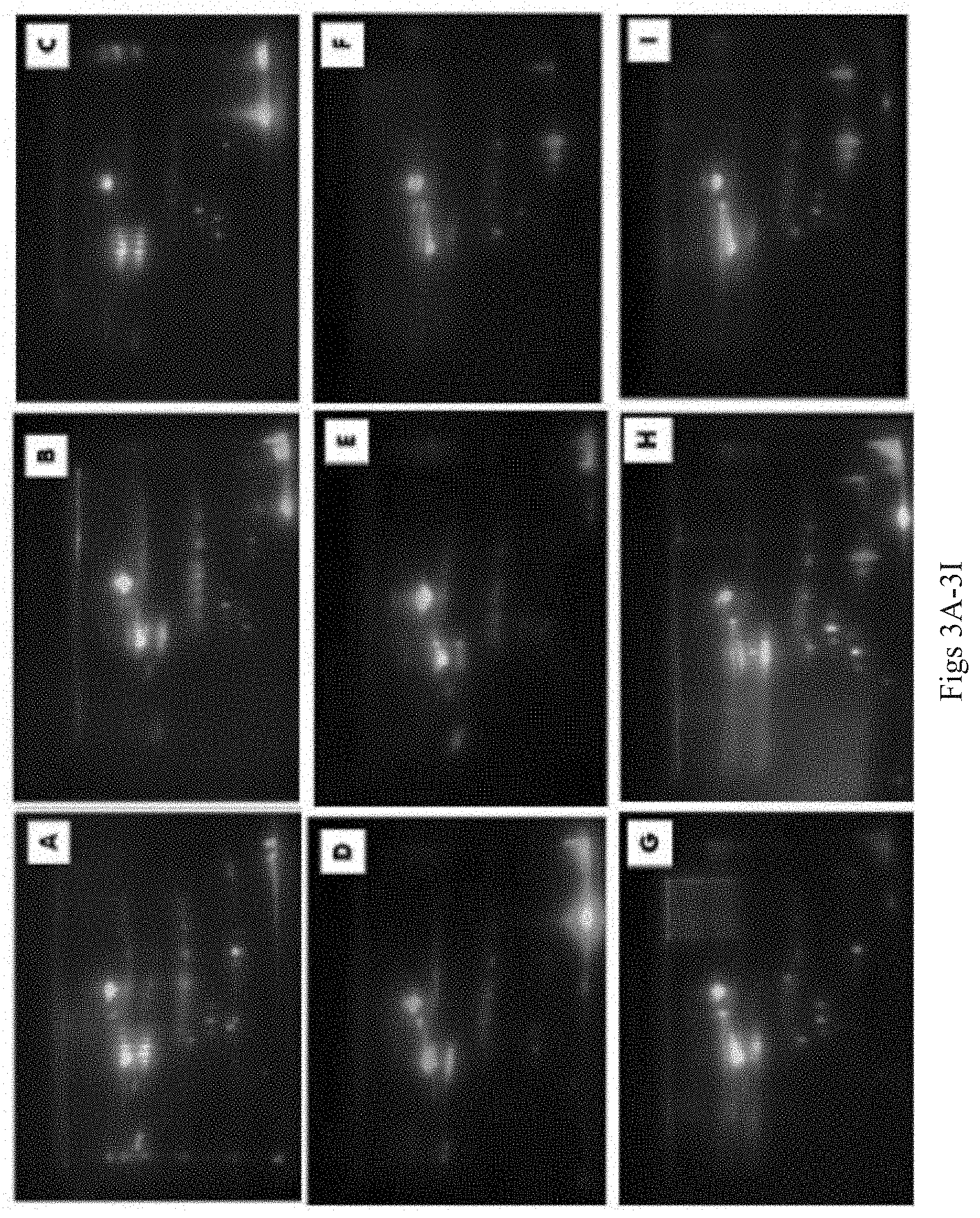 Patent US11774457 Figure 9 – Identification and analysis of protein biomarkers