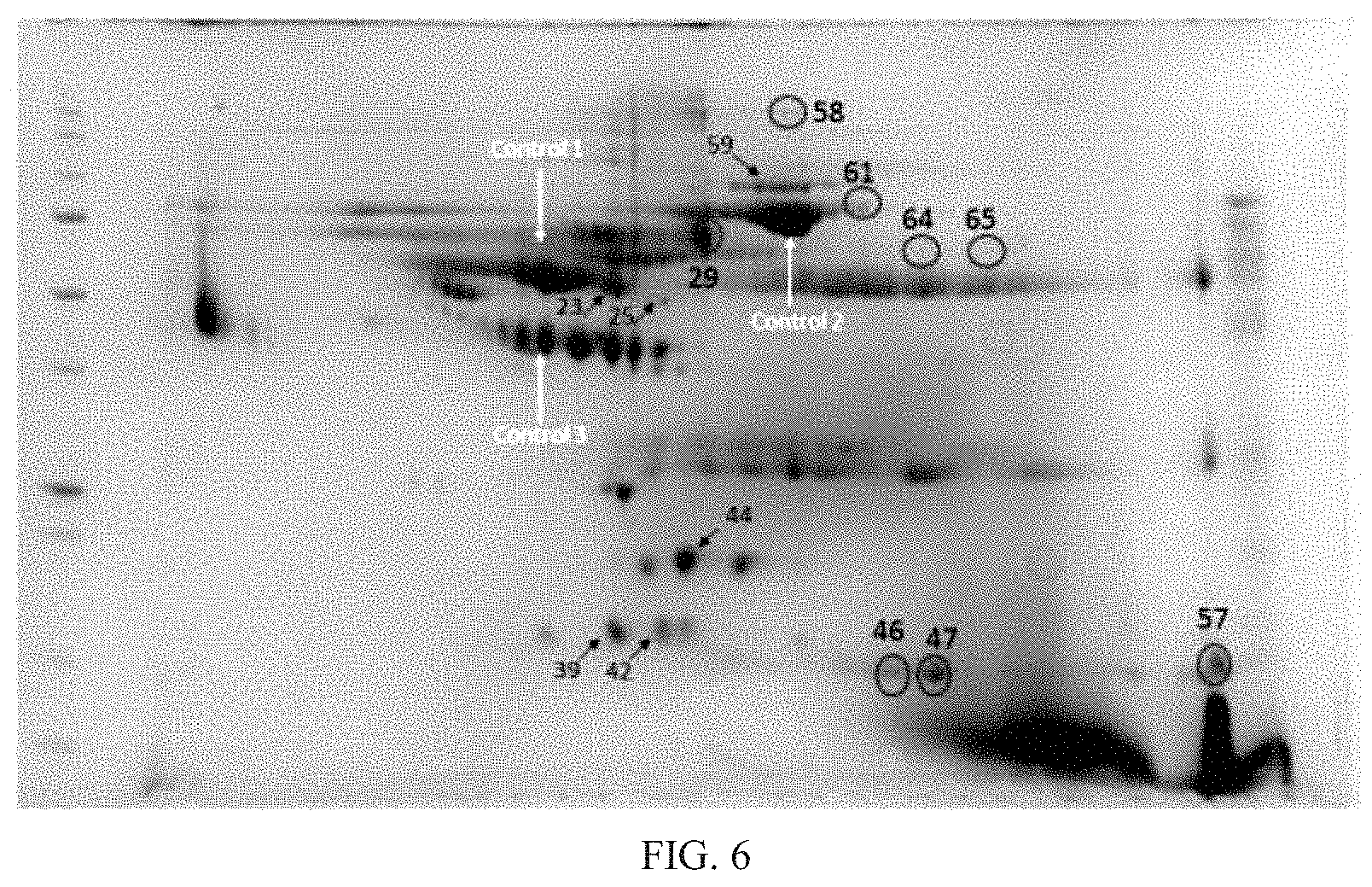 Patent US11774457 Figure 12 – Identification and analysis of protein biomarkers