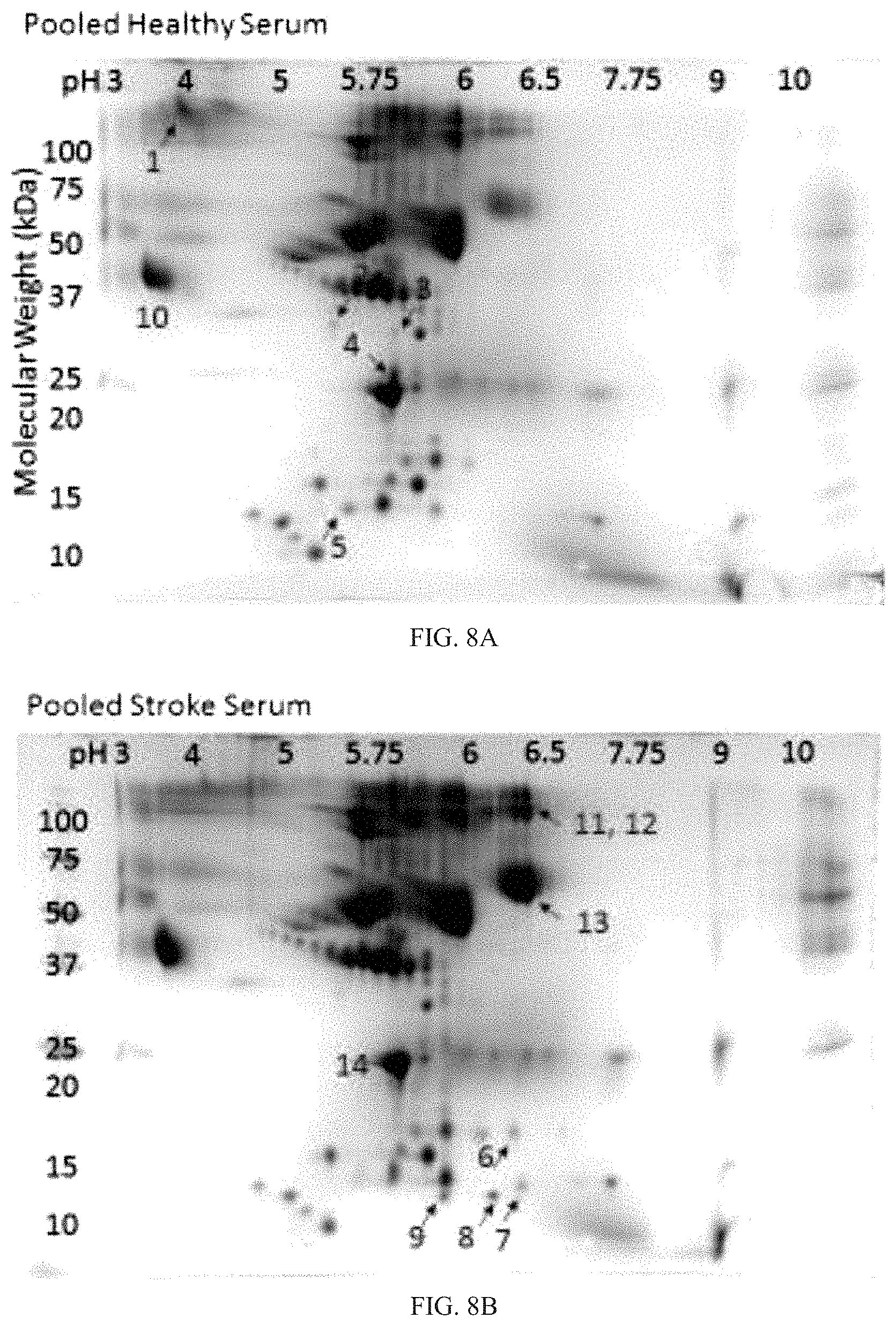 Patent US11774457 Figure 16 – Identification and analysis of protein biomarkers