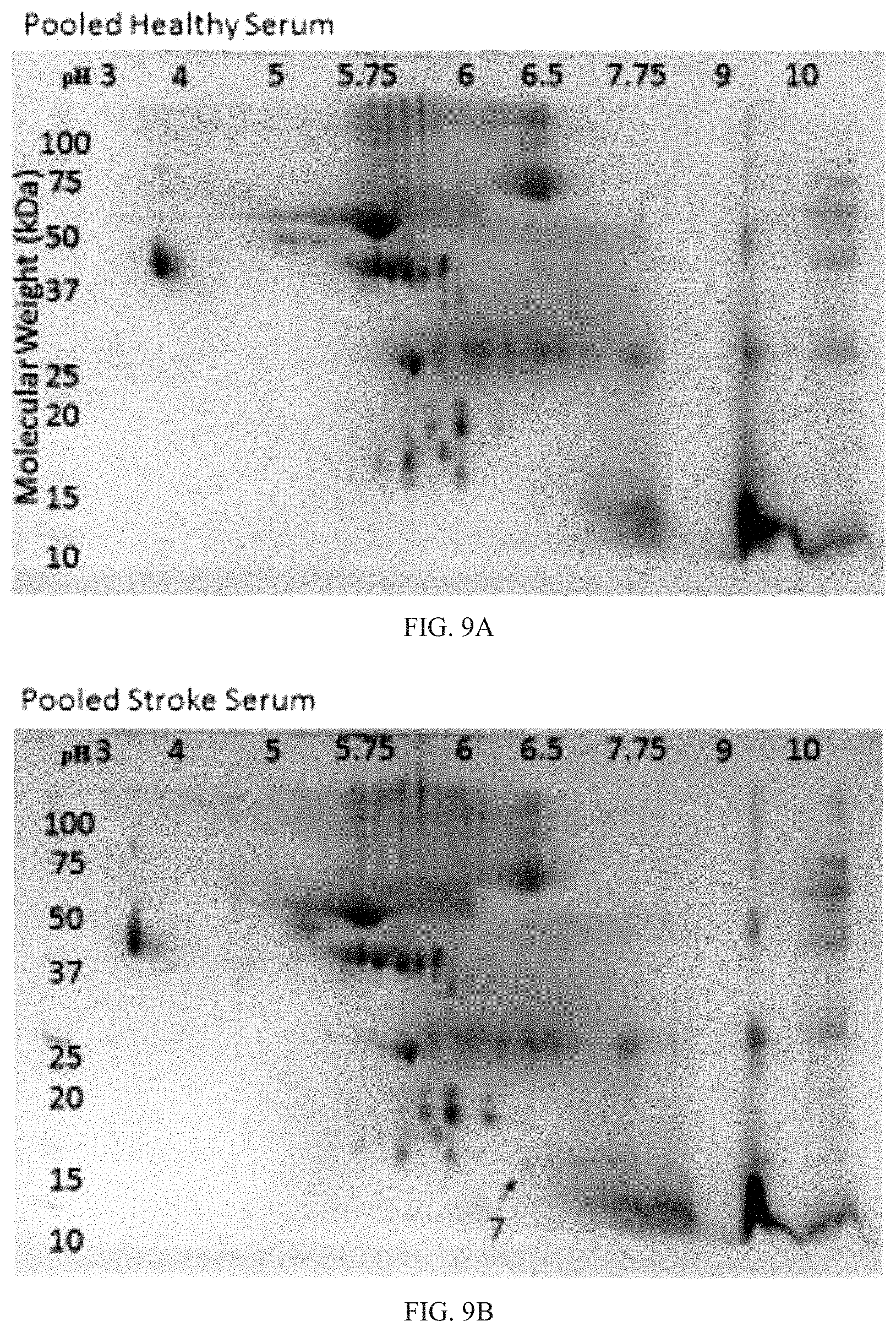 Patent US11774457 Figure 17 – Identification and analysis of protein biomarkers