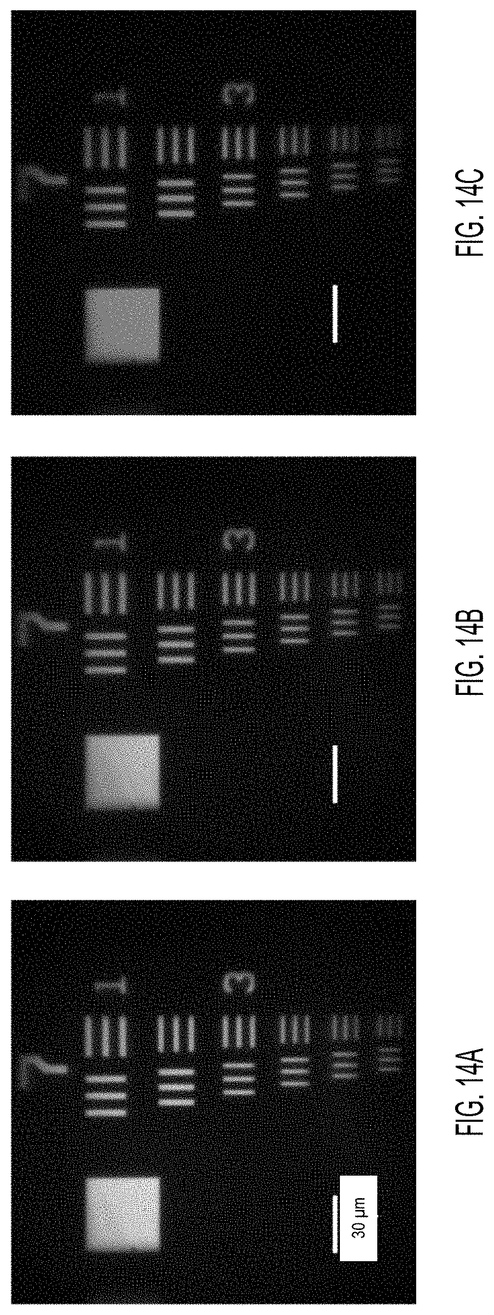Patent US11774635 Figure 18 – Achromatic multi-zone metalens