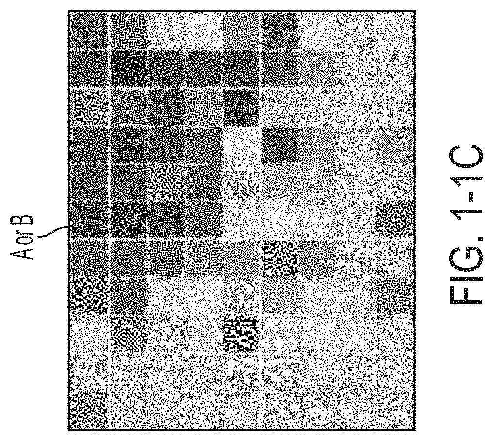 Patent US11775779 Figure 2 – Hybrid analog-digital matrix processors