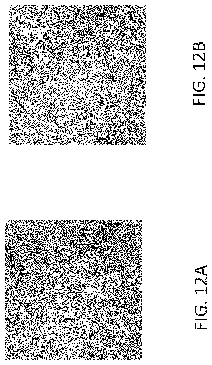 Patent US11776161 Figure 8 – Methods for identifying pore color