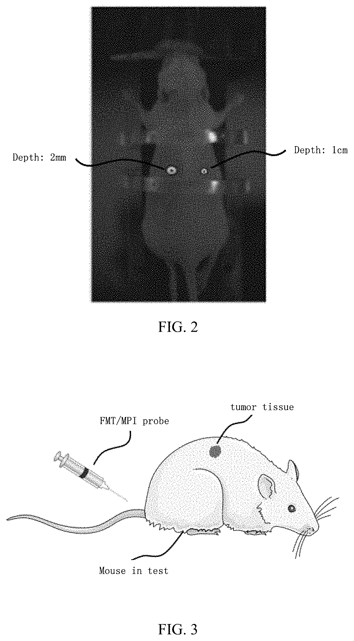 Patent US11776174 Figure 2 – Fluorescence moleculartomography reconstruction method based on prior guidance of magnetic particle imaging