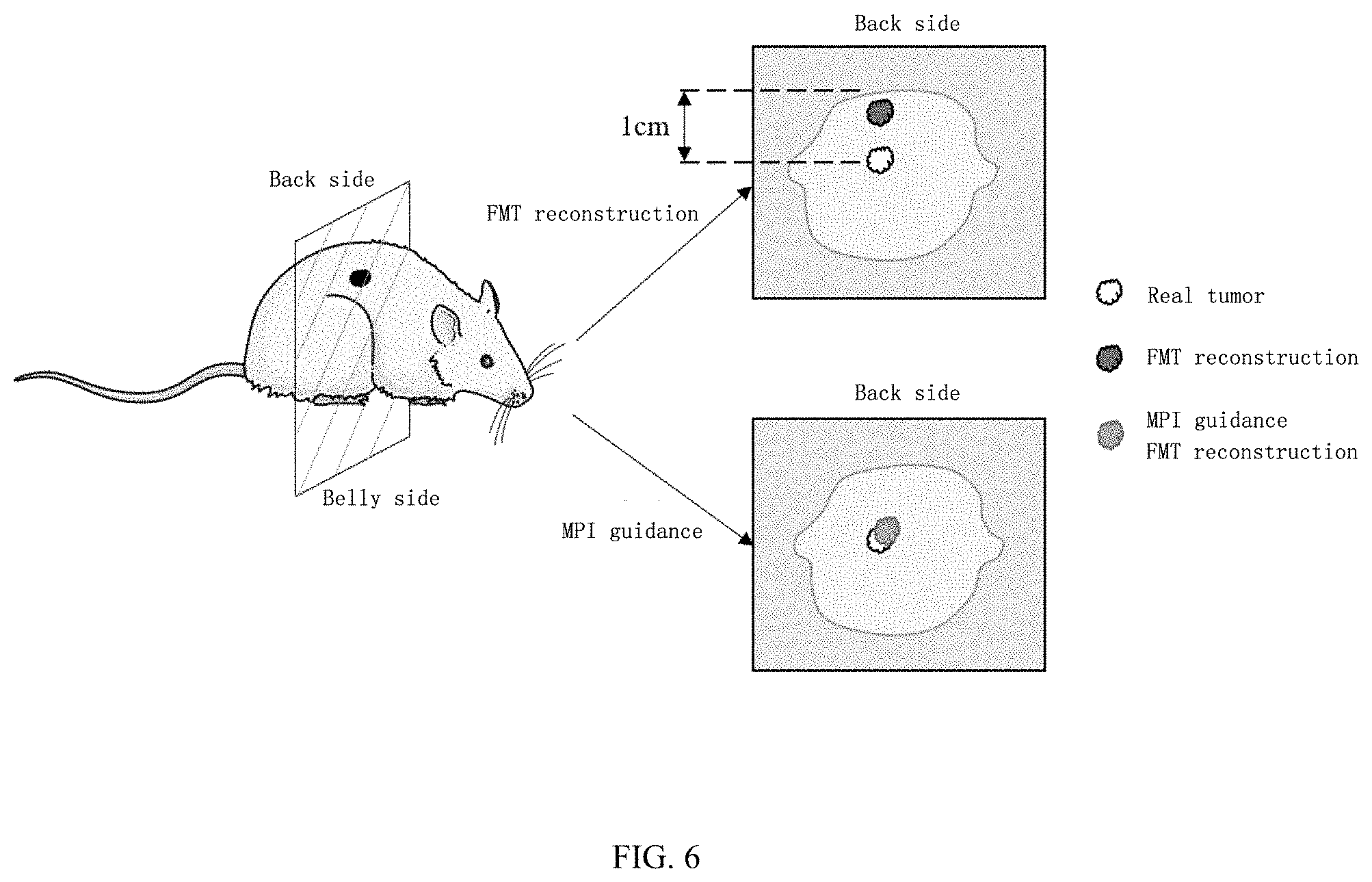 Patent US11776174 Figure 4 – Fluorescence moleculartomography reconstruction method based on prior guidance of magnetic particle imaging