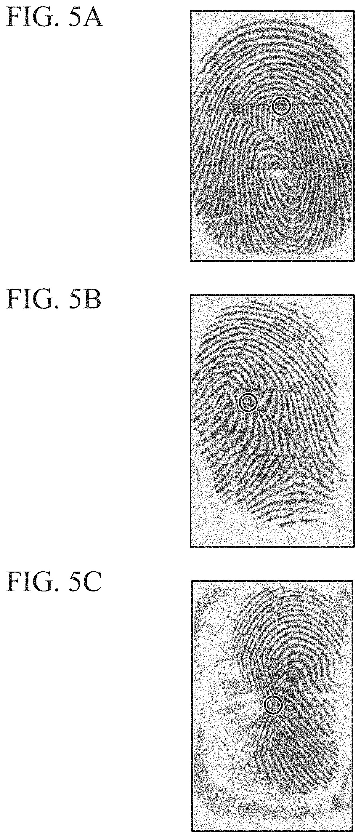 Patent US11776304 Figure 5 – Biological pattern information processing device, biological pattern information processing method and program