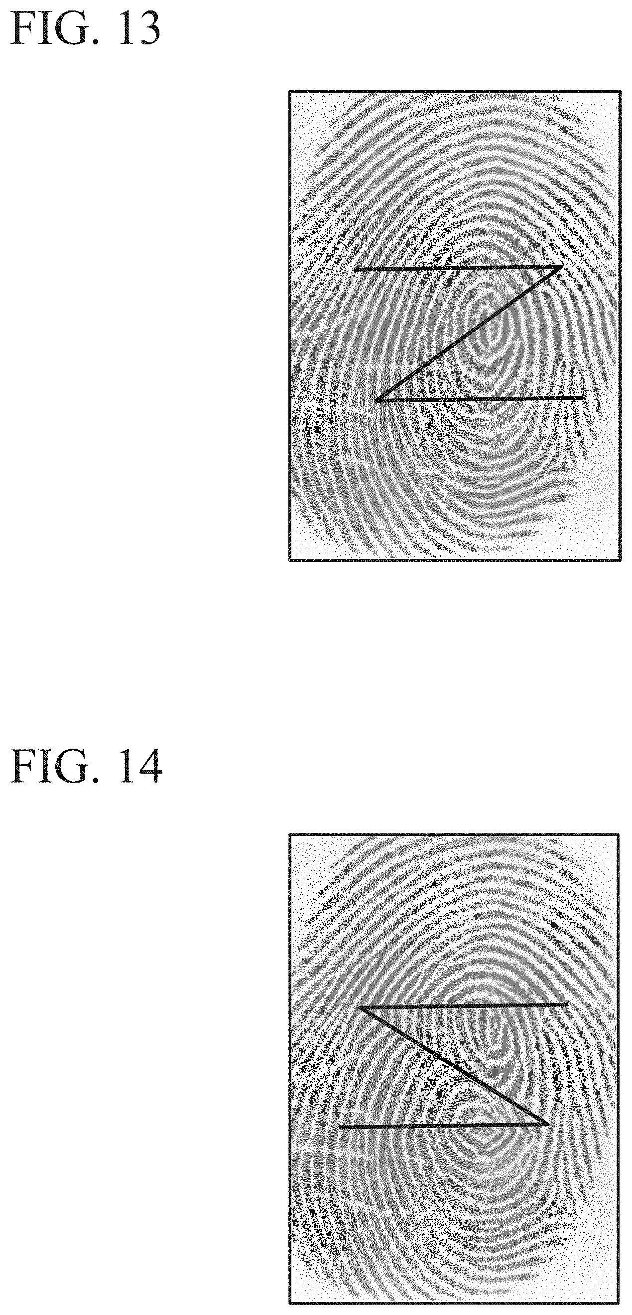 Patent US11776304 Figure 10 – Biological pattern information processing device, biological pattern information processing method and program
