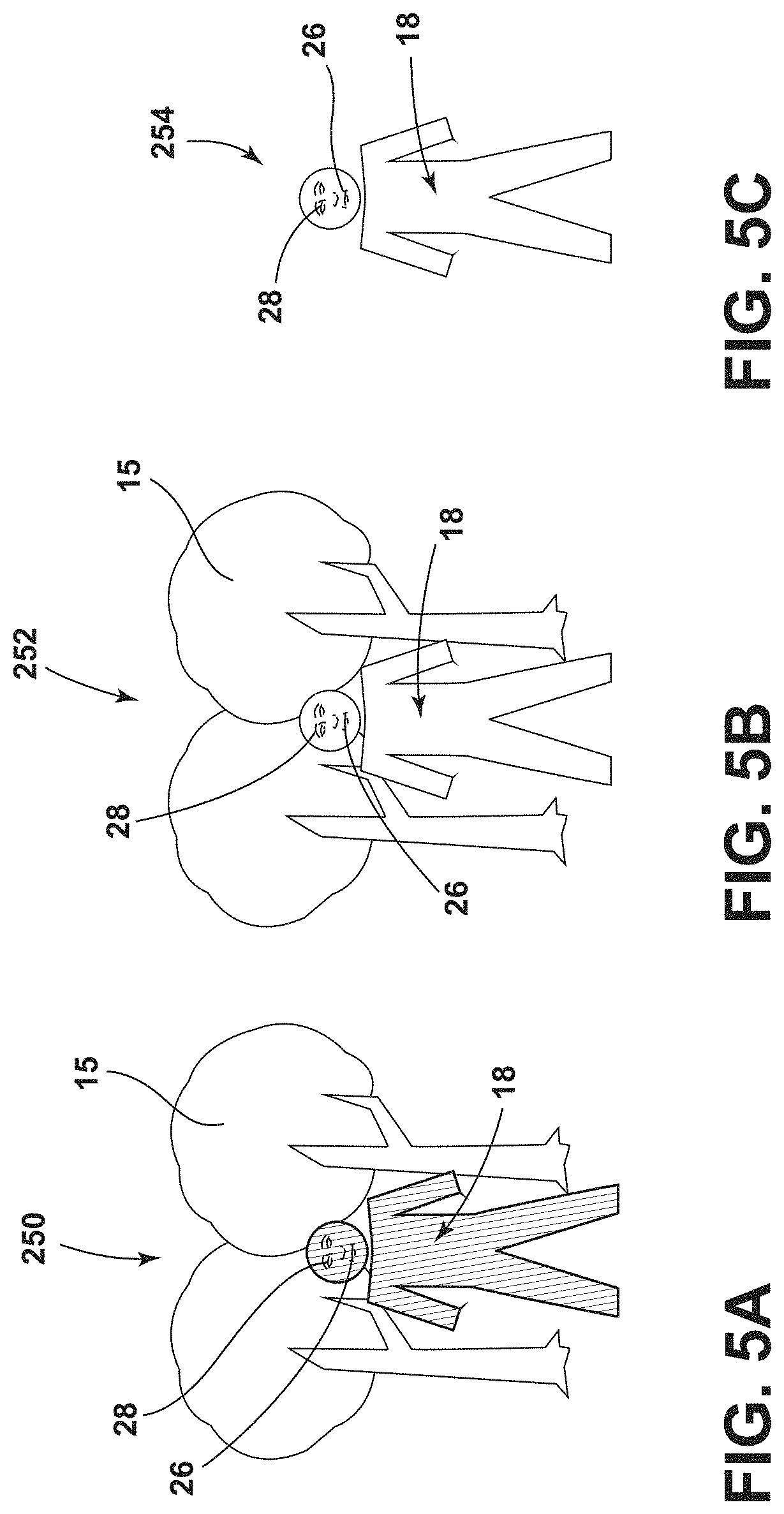 Patent US11776313 Figure 5 – Scanning apparatus for reducing field of view search space