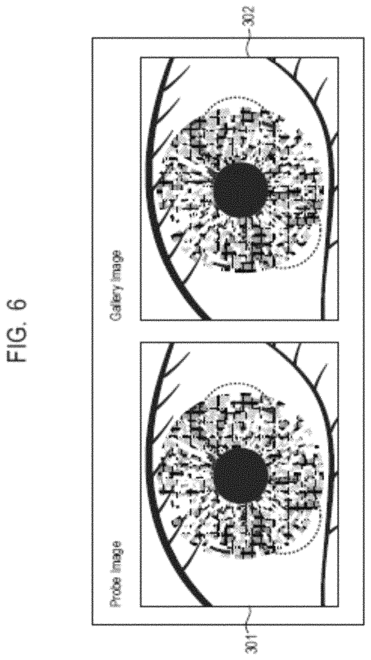 Patent US11776316 Figure 6 – Information processing system, information processing method, and storage medium