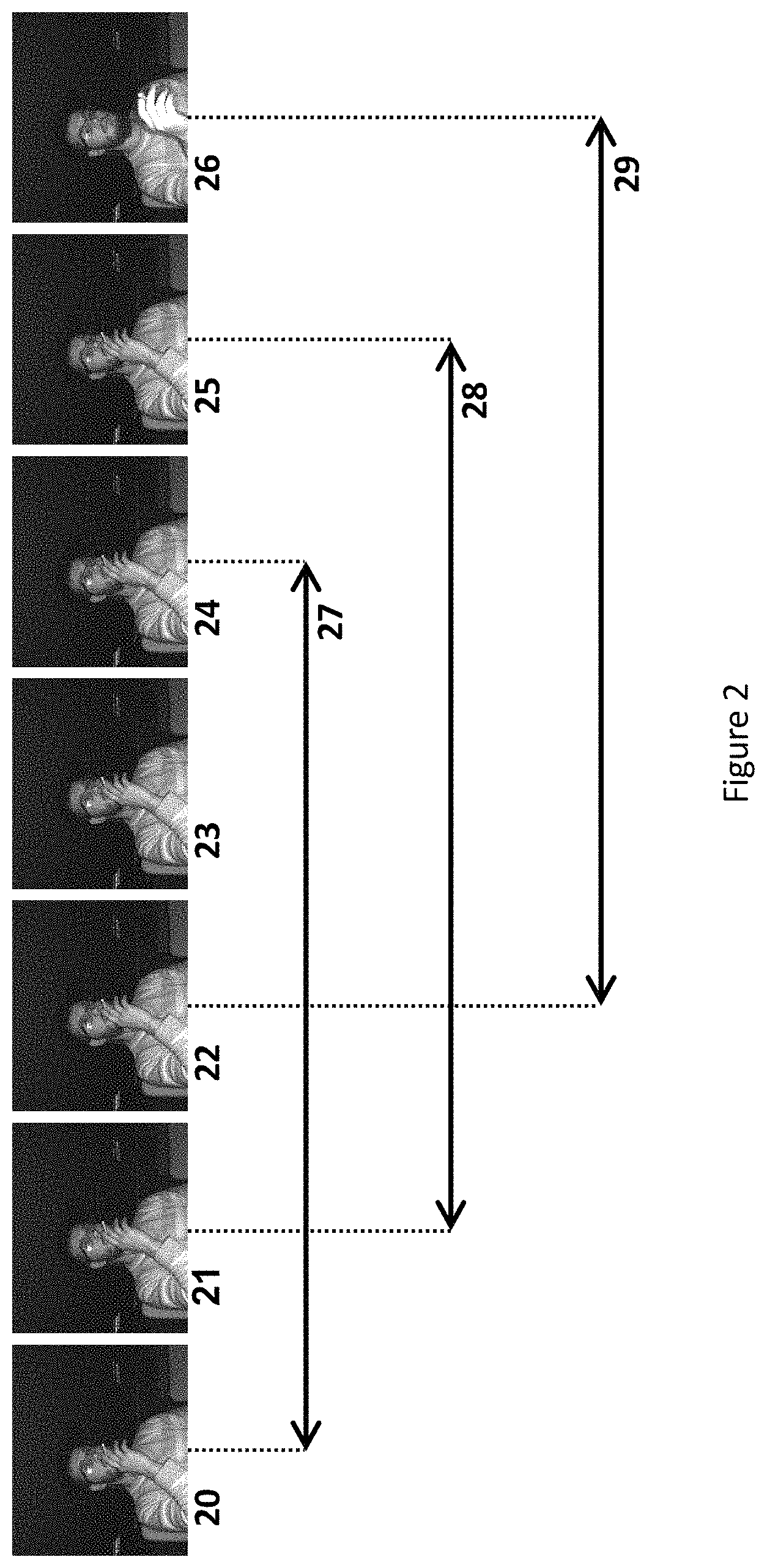 Patent US11776319 Figure 2 – Methods and systems to predict activity in a sequence of images