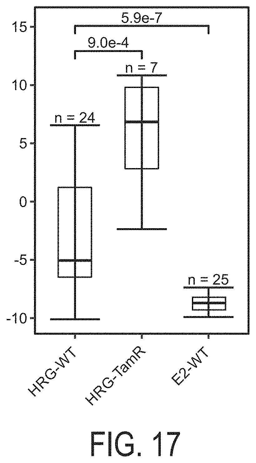 Patent US11776661 Figure 17 – Determination of MAPK-AP-1 pathway activity using unique combination of target genes