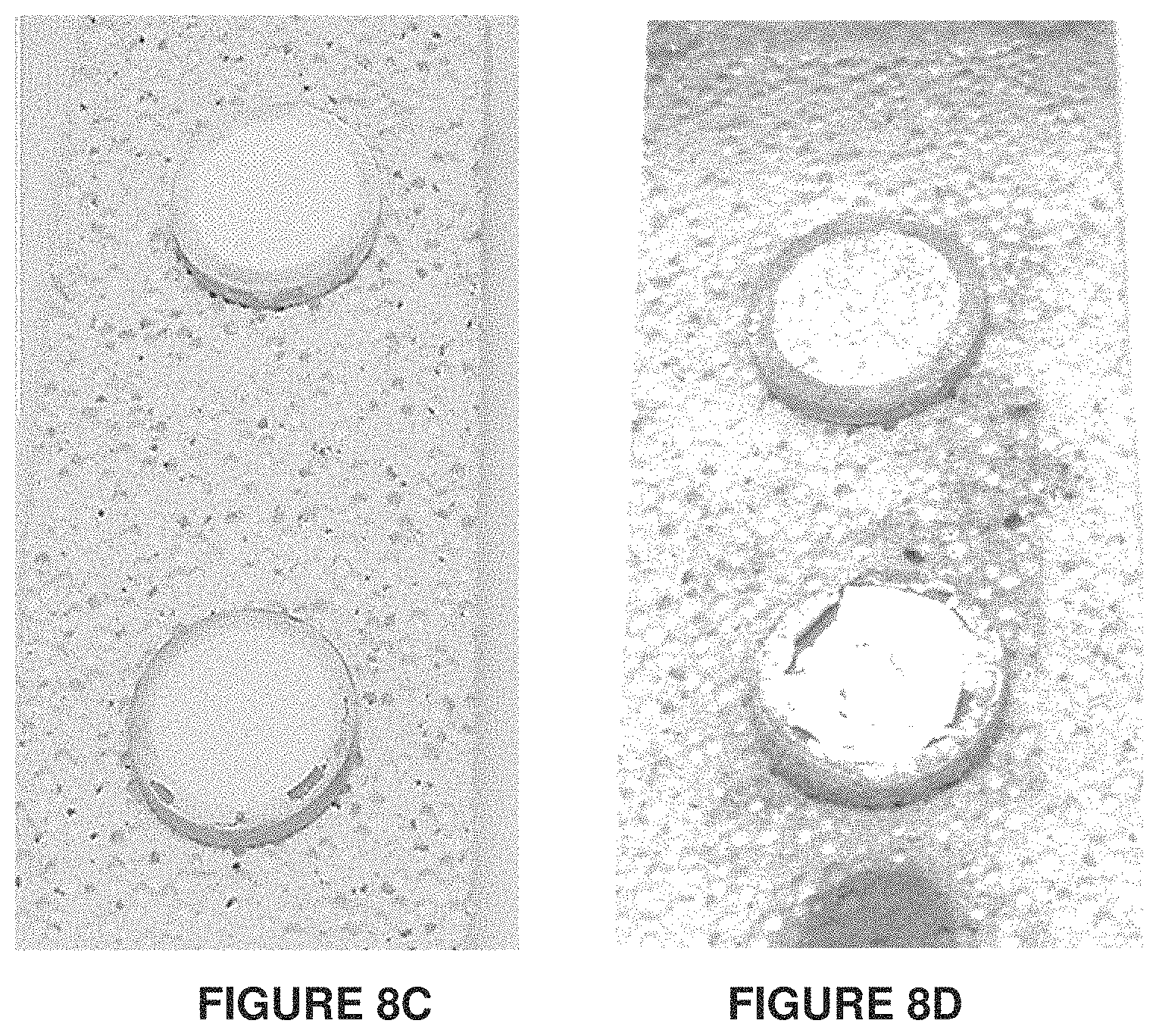Patent US11776705 Figure 7 – High temperature and high beam current compatible targets and methods thereof for generating noble gas/radiohalogen generators for medical isotopes