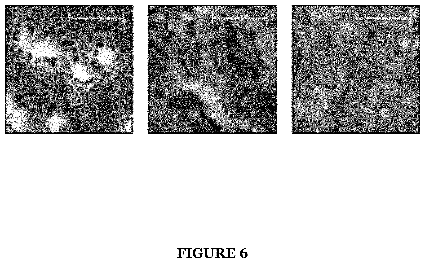 Patent US11777087 Figure 6 – System for an ionic liquid-based electrolyte for high energy battery