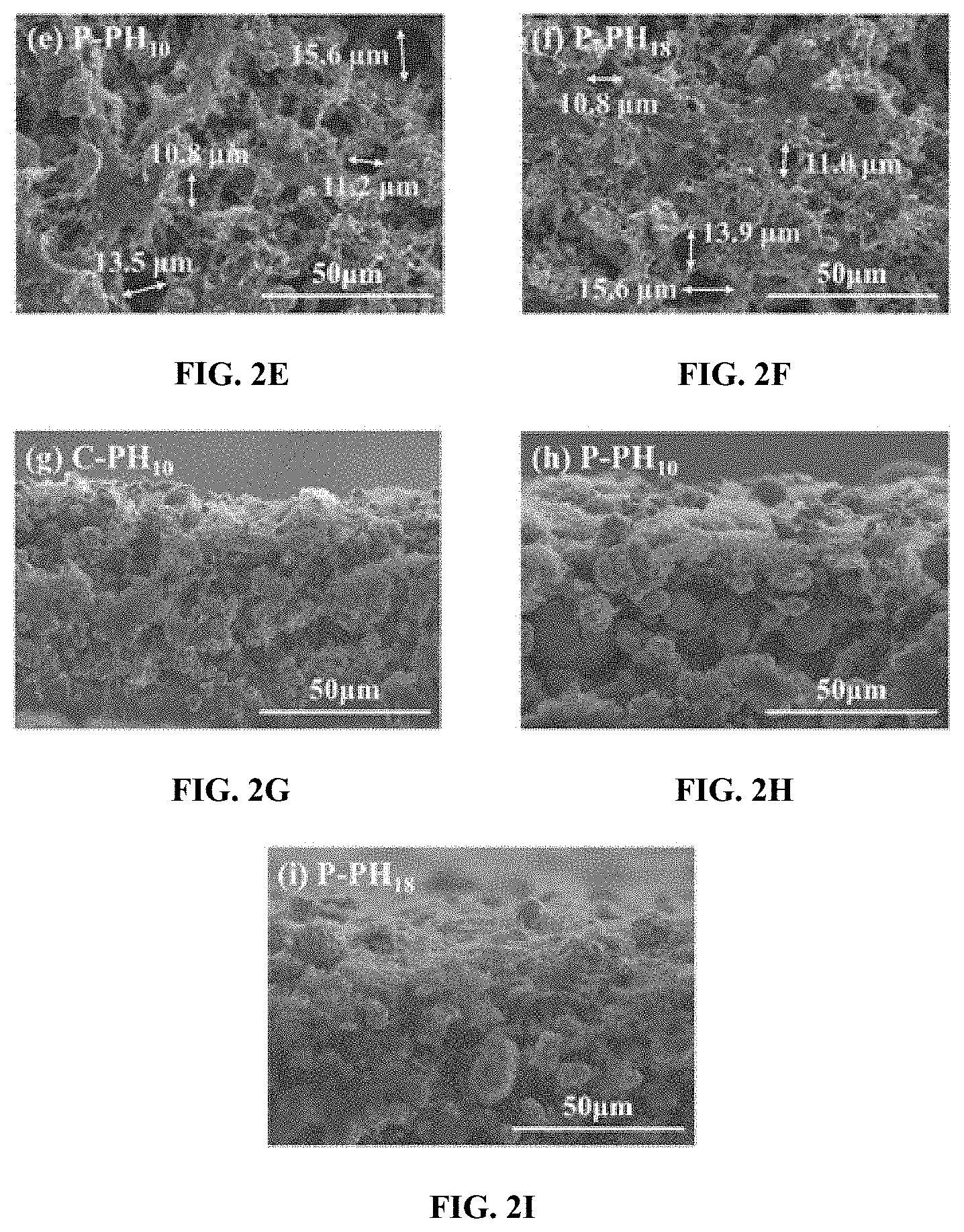 Patent US11777145 Figure 2 – Gel composite cathode for solid-state batteries and methods of manufacturing thereof